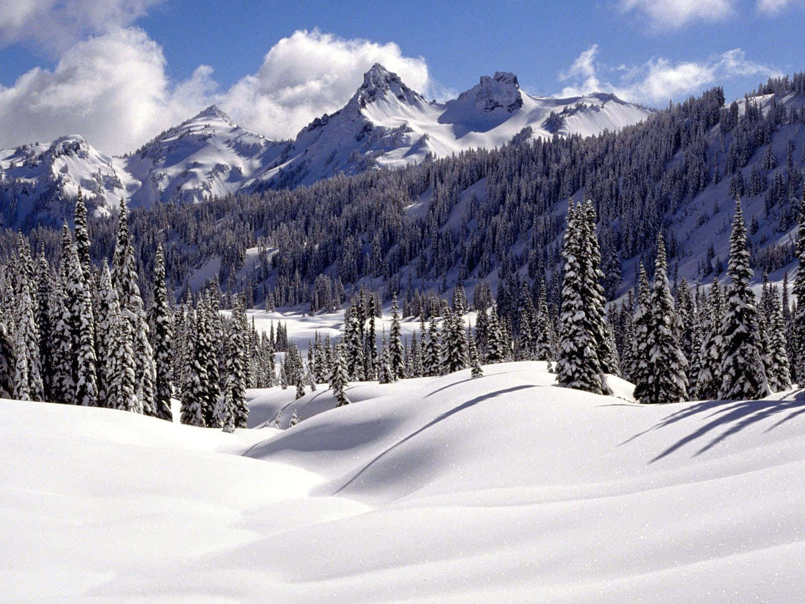 欣賞冬季仙境的美景 壁紙 — 白雪覆蓋高聳的山峰和常綠樹，在明亮的藍天下有蓬鬆的白雲。