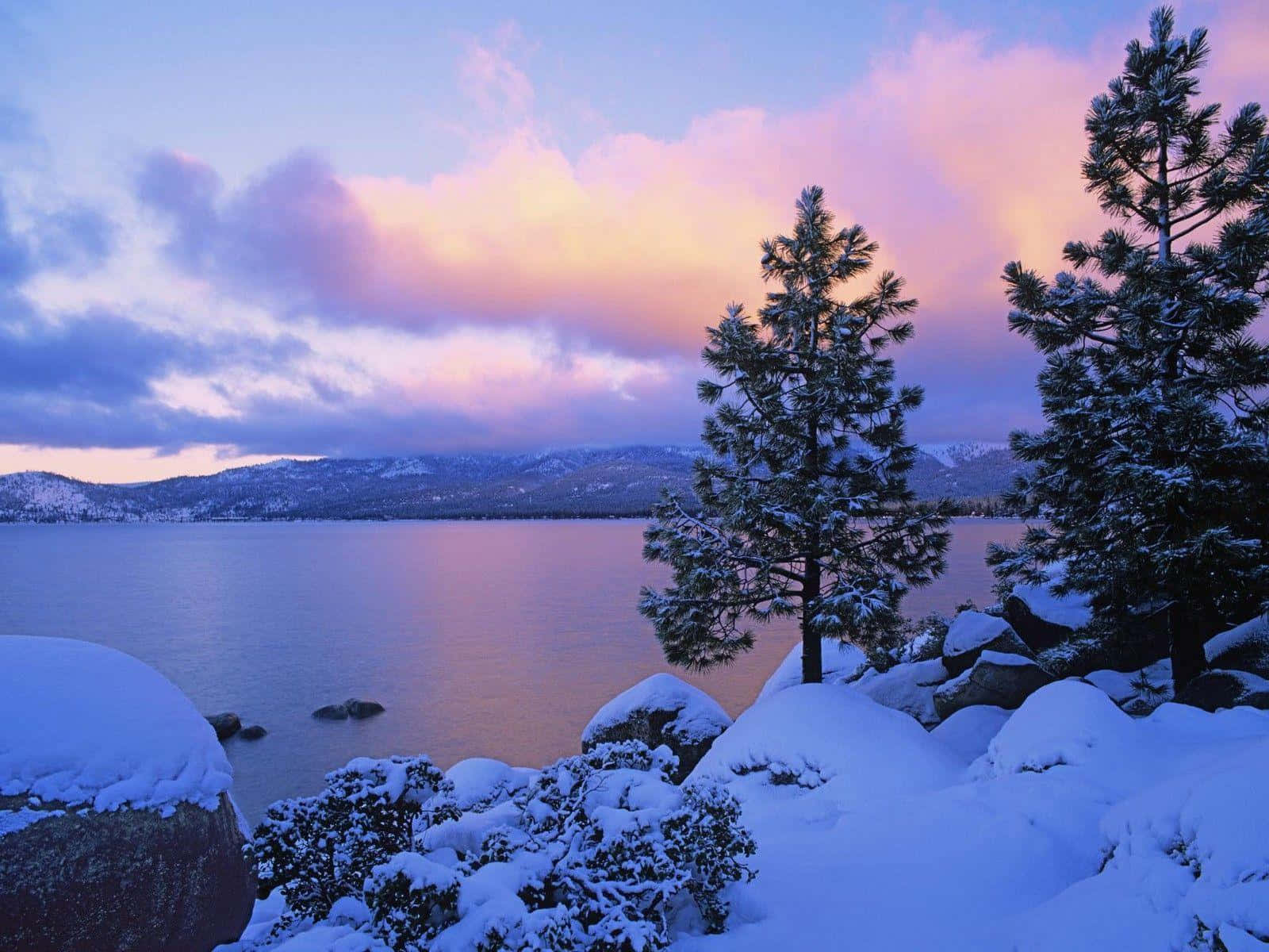 欣賞冬季的美麗 壁紙 — 白雪覆蓋著松樹和岩石，旁邊是寧靜的湖泊，天空呈現出充滿活力的粉紅紫色日落。