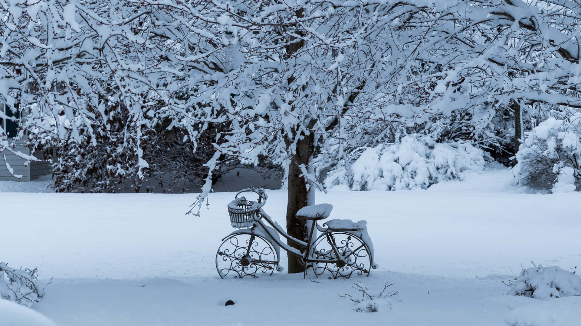 一架被雪覆蓋的華麗單車靠在一棵積雪的樹上，在冬季公園中。