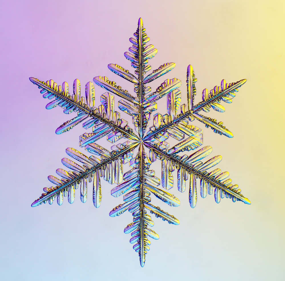欣賞冬季雪花之美 壁紙 — 一片精緻的雪花，帶有虹彩藍、黃和紫色調，在柔和的漸變背景上閃耀。