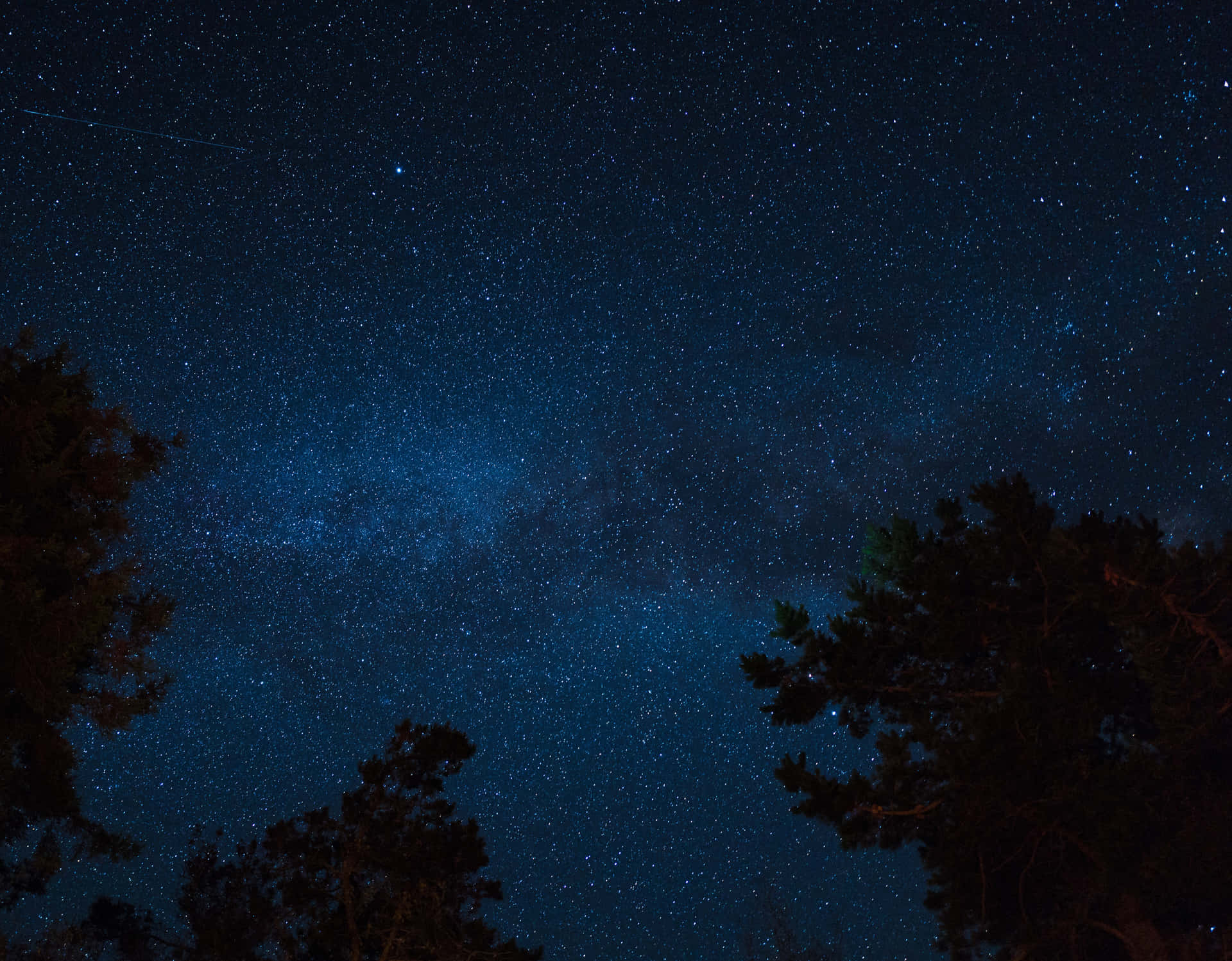 剪影松樹框住了一個繁星點點的夜空，銀河清晰可見。