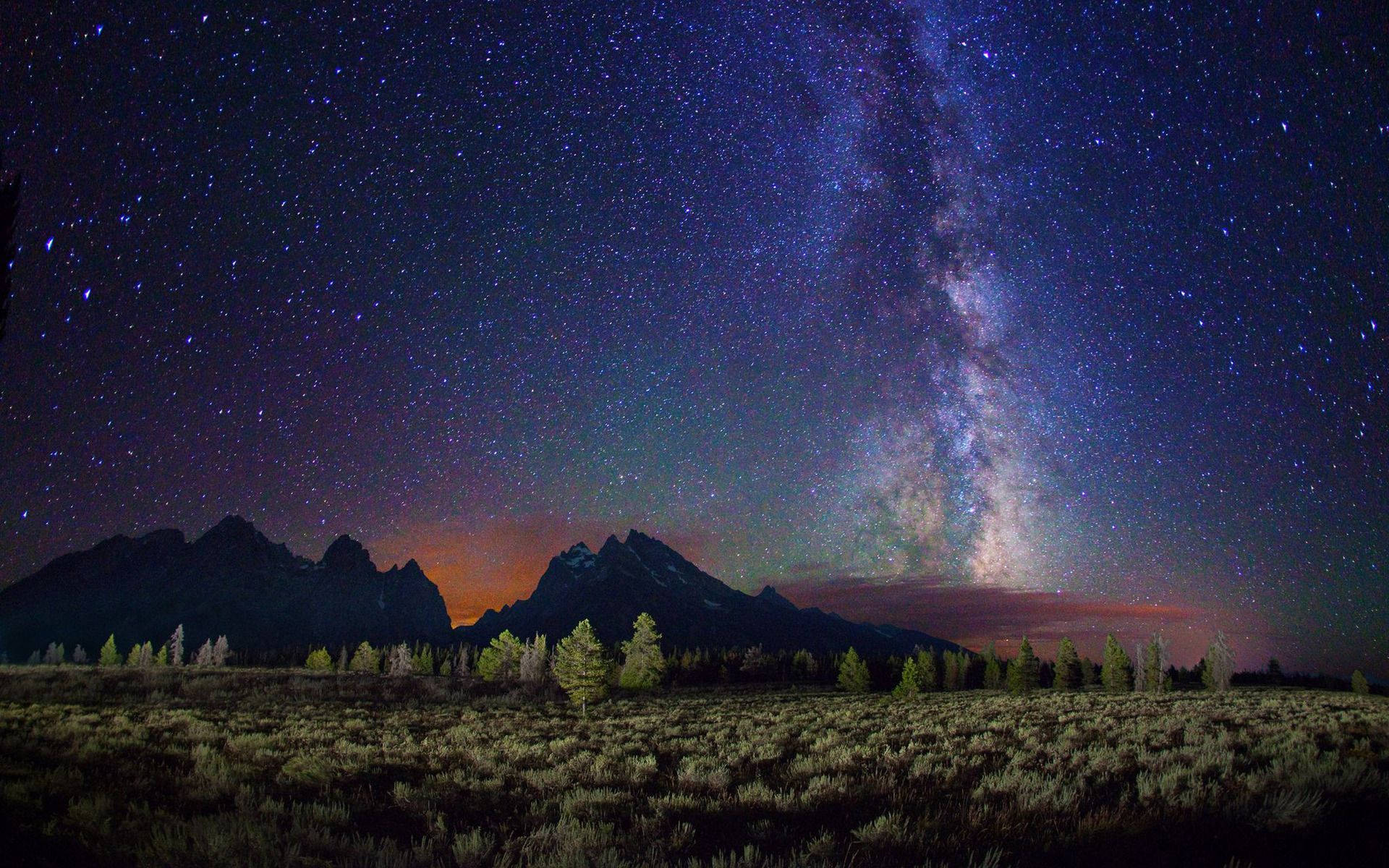 夜晚山脈上空的銀河系，星空和松樹。