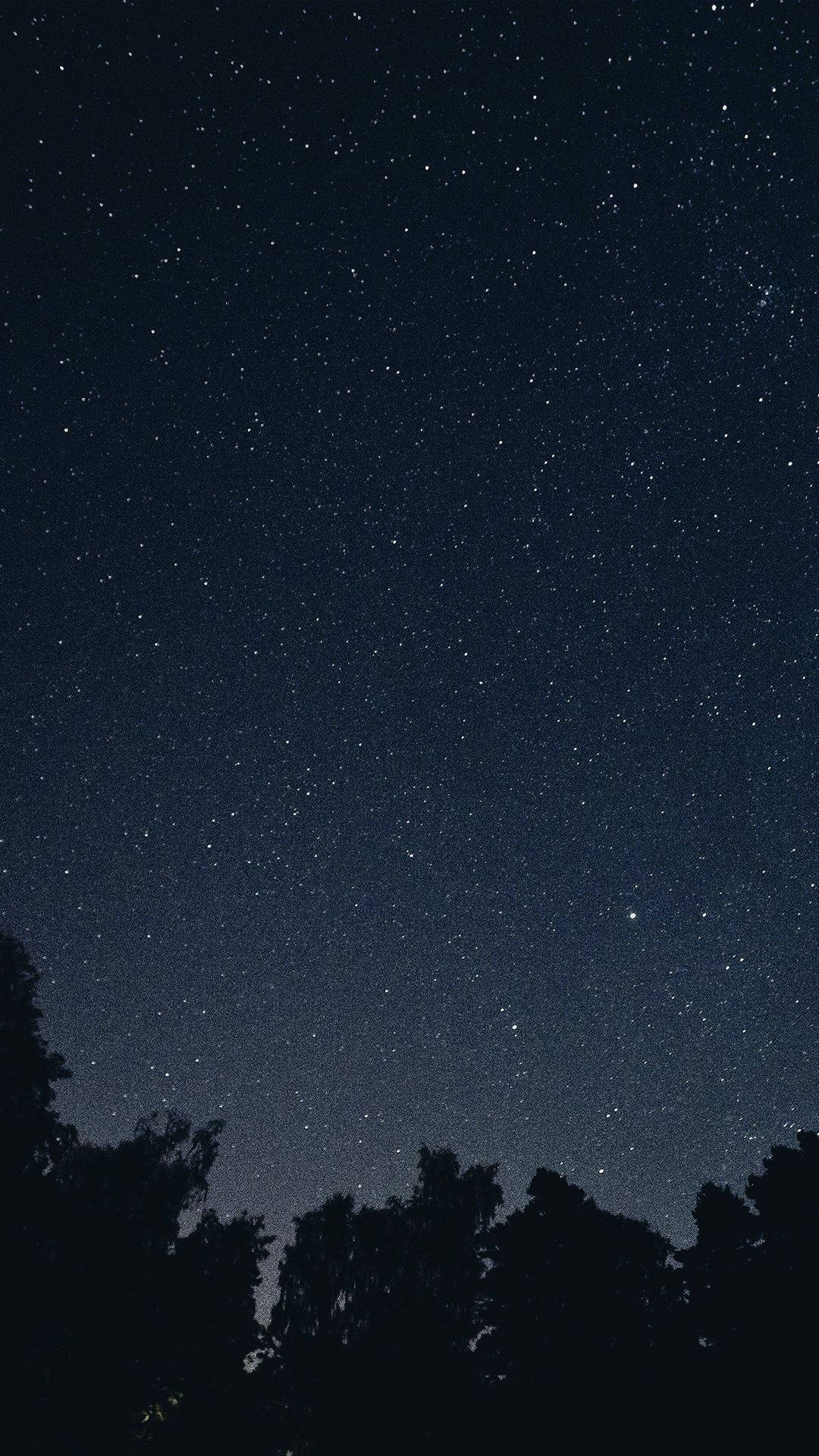 星空夜空下的黑暗樹木輪廓。