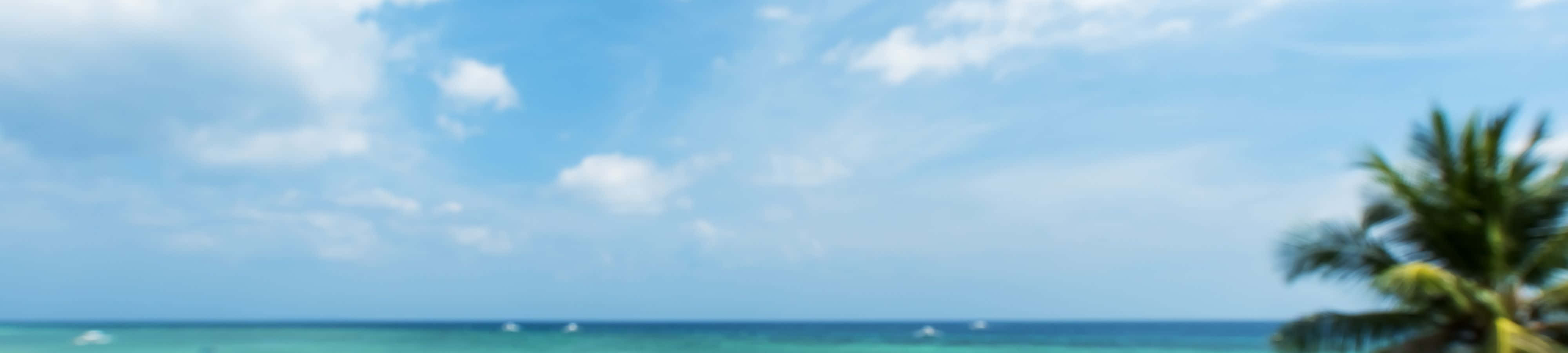 熱帶海灘，有棕櫚樹和碧綠色的海洋，在明亮的藍天下。