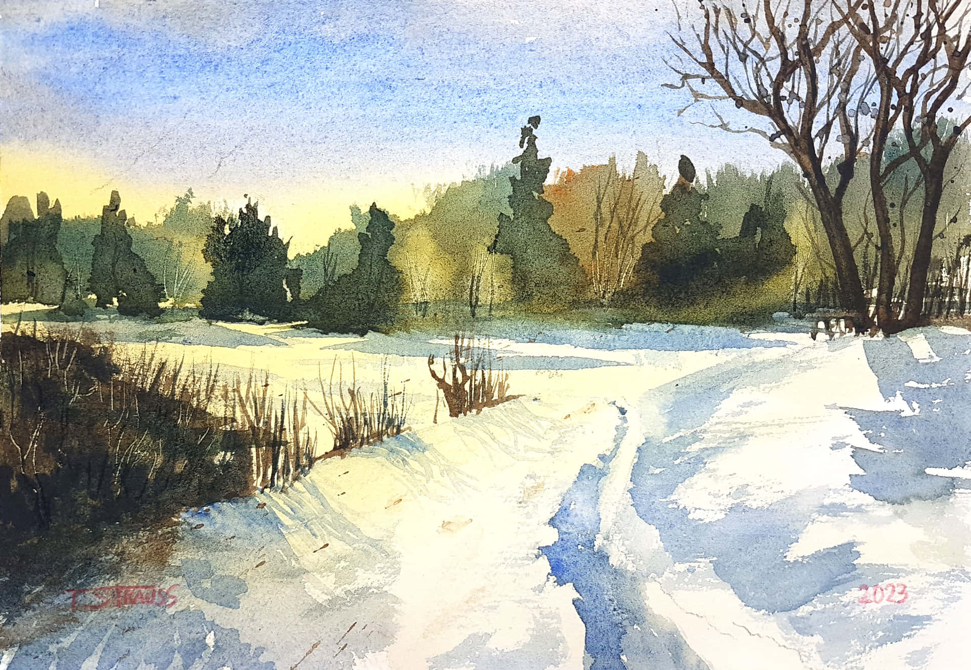 雪地冬季景觀，蜿蜒小徑和光禿樹木，藍天下。