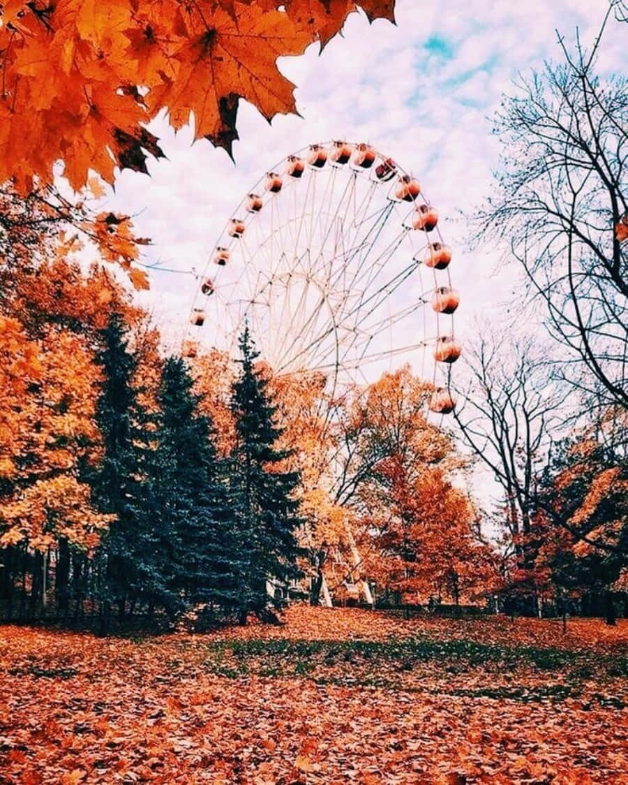 欣賞季節更迭的美麗風景 壁紙 — 在柔和的陰天天空下，摩天輪矗立在火紅橙色秋葉的華蓋後面。