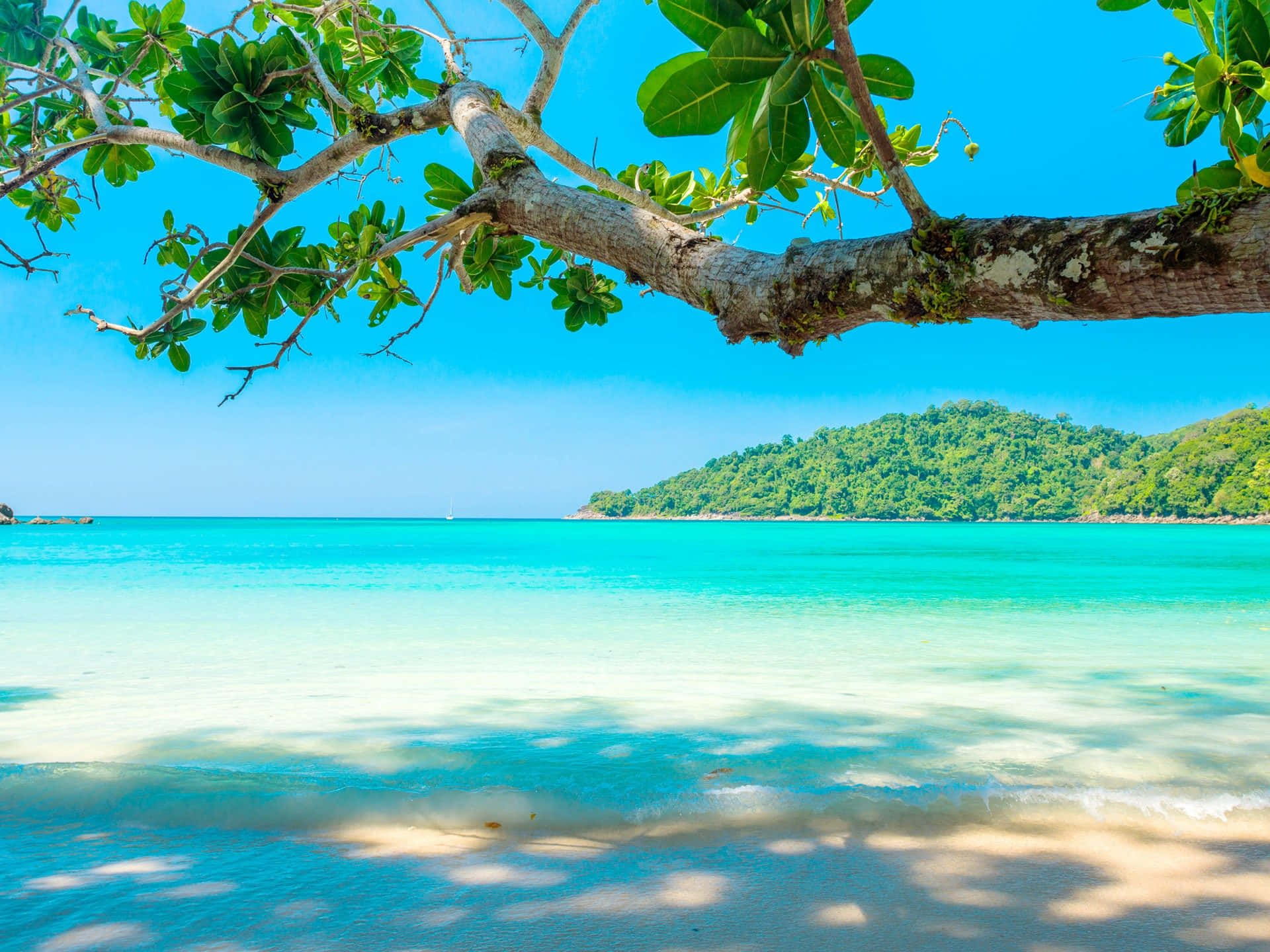 熱帶海灘，有碧綠的海水和綠色島嶼，在晴朗的藍天下。