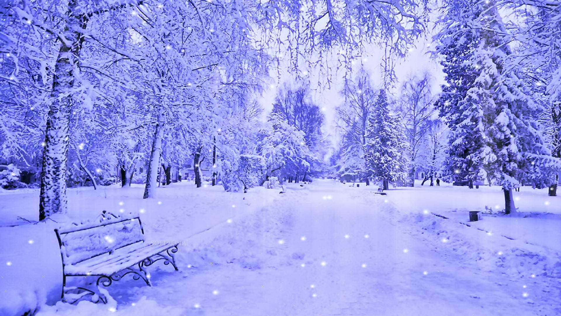 在藍色冬季樹木下，雪花飄落中白雪覆蓋的公園長椅。