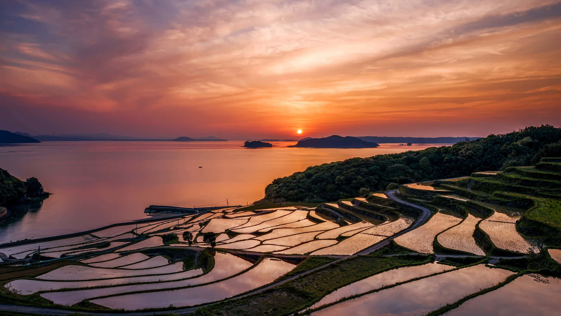 梯田在平靜的水面和遠處的山巒上反射出夕陽的色彩。