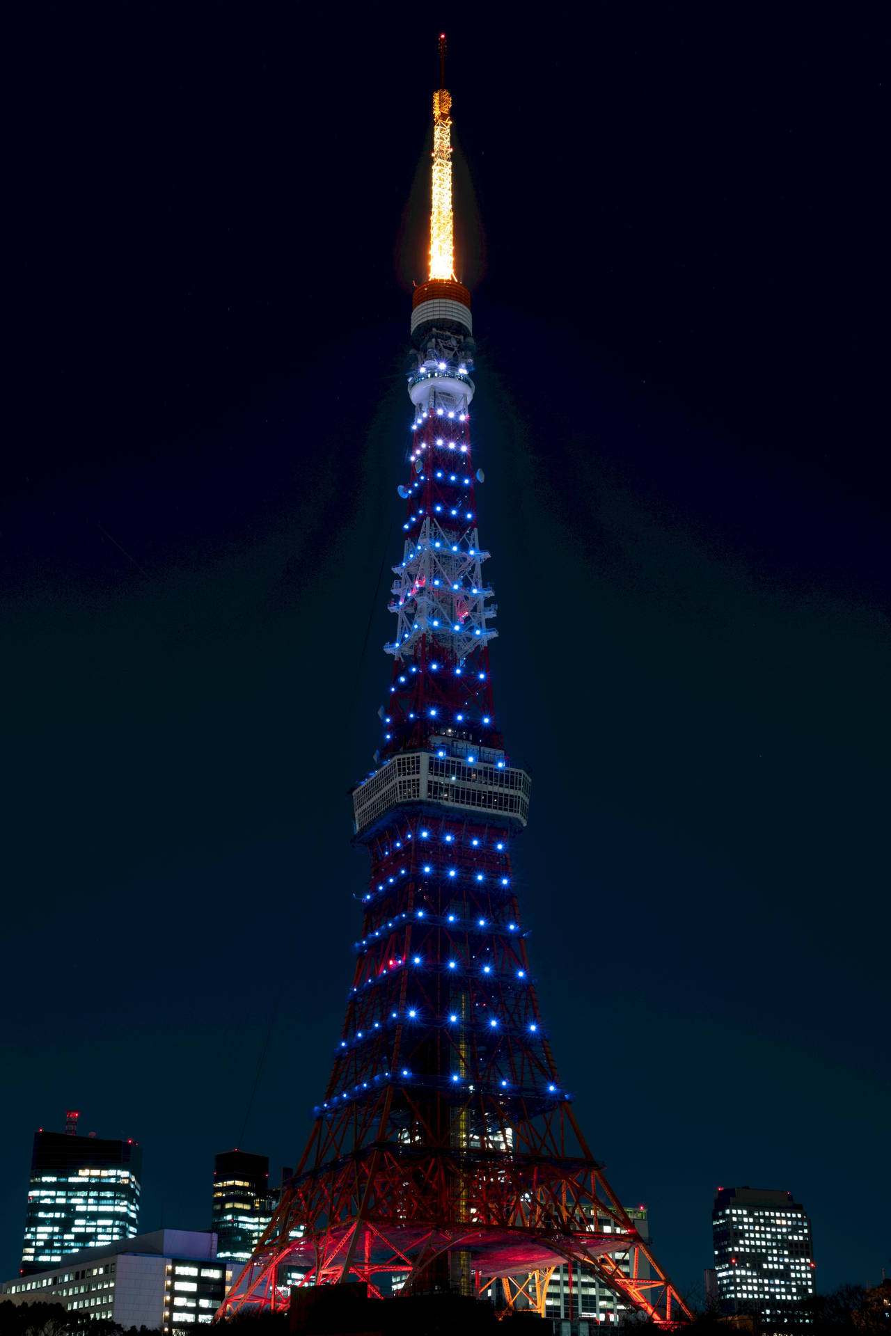 欣賞日本東京塔的壯麗景色 壁紙 — 東京塔以紅、藍、金色燈光點亮，背景是漆黑的夜空和城市建築。
