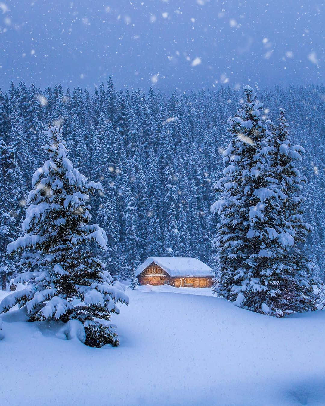 欣賞暴雪的壯麗美景 壁紙 — 一間舒適的木屋坐落在雪白的森林中，雪花飄落，窗戶透出溫暖的燈光。