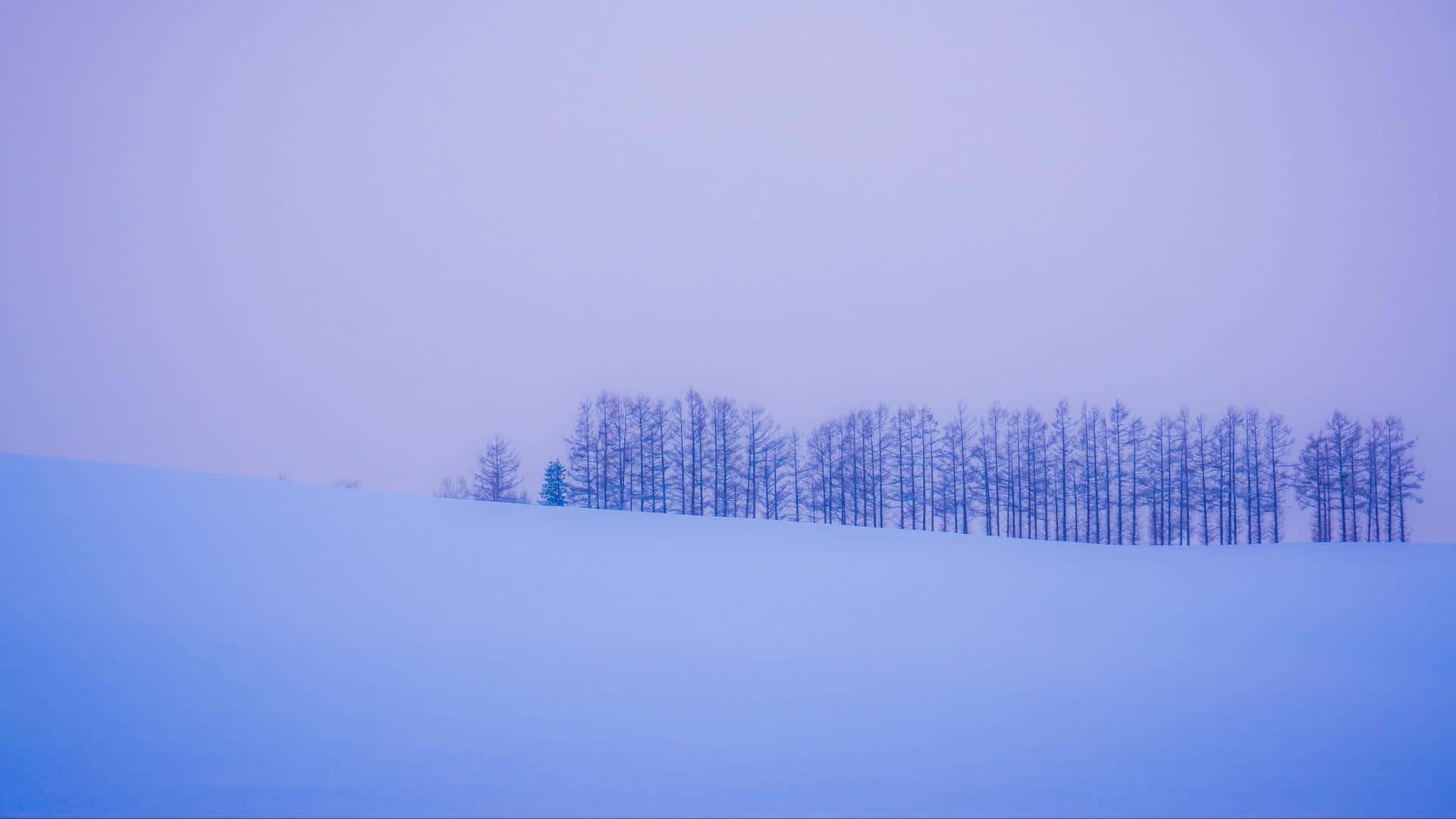 紫色天空下白雪覆蓋的山丘與光禿禿的樹木