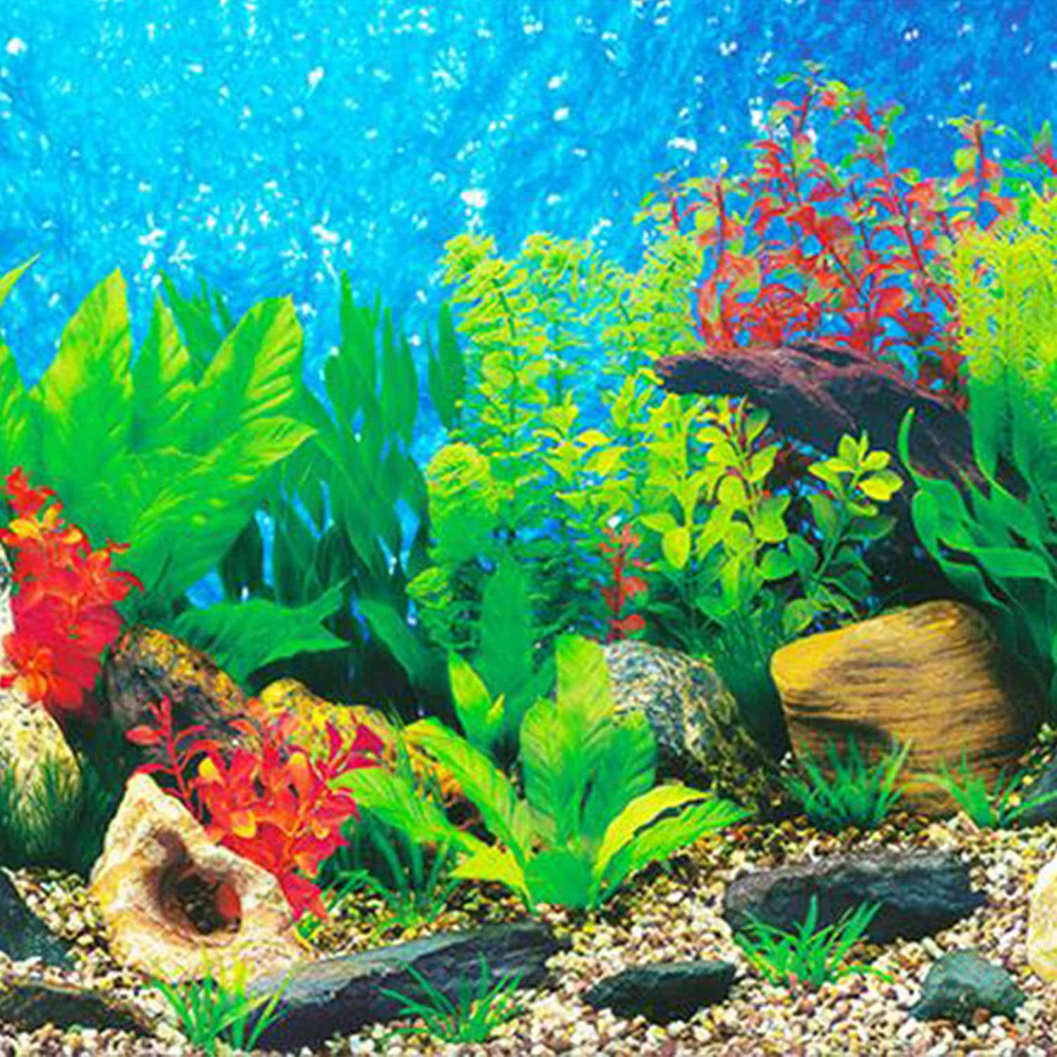 明亮的藍色水中的色彩繽紛的模擬水族館植物、岩石和礫石。