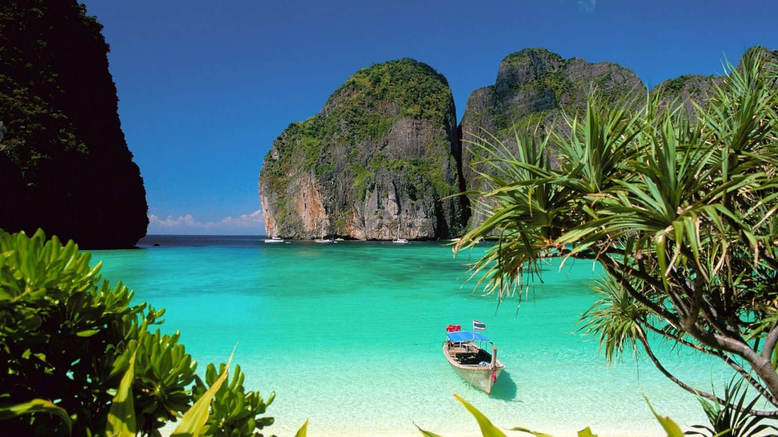 欣賞海洋與熱帶叢林的壯麗風景 壁紙 — 一艘長尾船漂浮在清澈碧綠的海水中，四周環繞著茂密的綠色棕櫚葉和叢林覆蓋的高聳石灰岩懸崖，上方是晴朗的藍天。