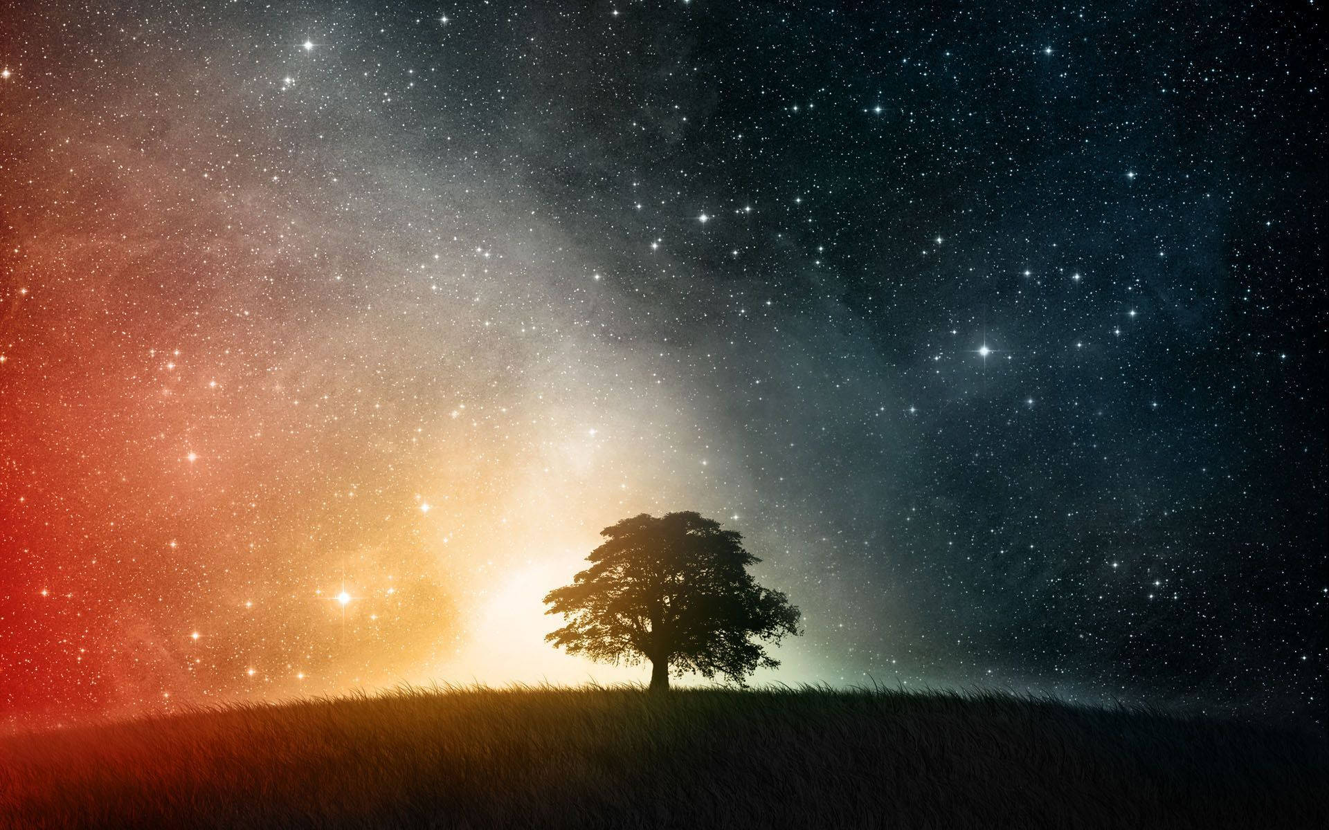 一棵孤樹站在山丘上，在色彩繽紛的星空下。