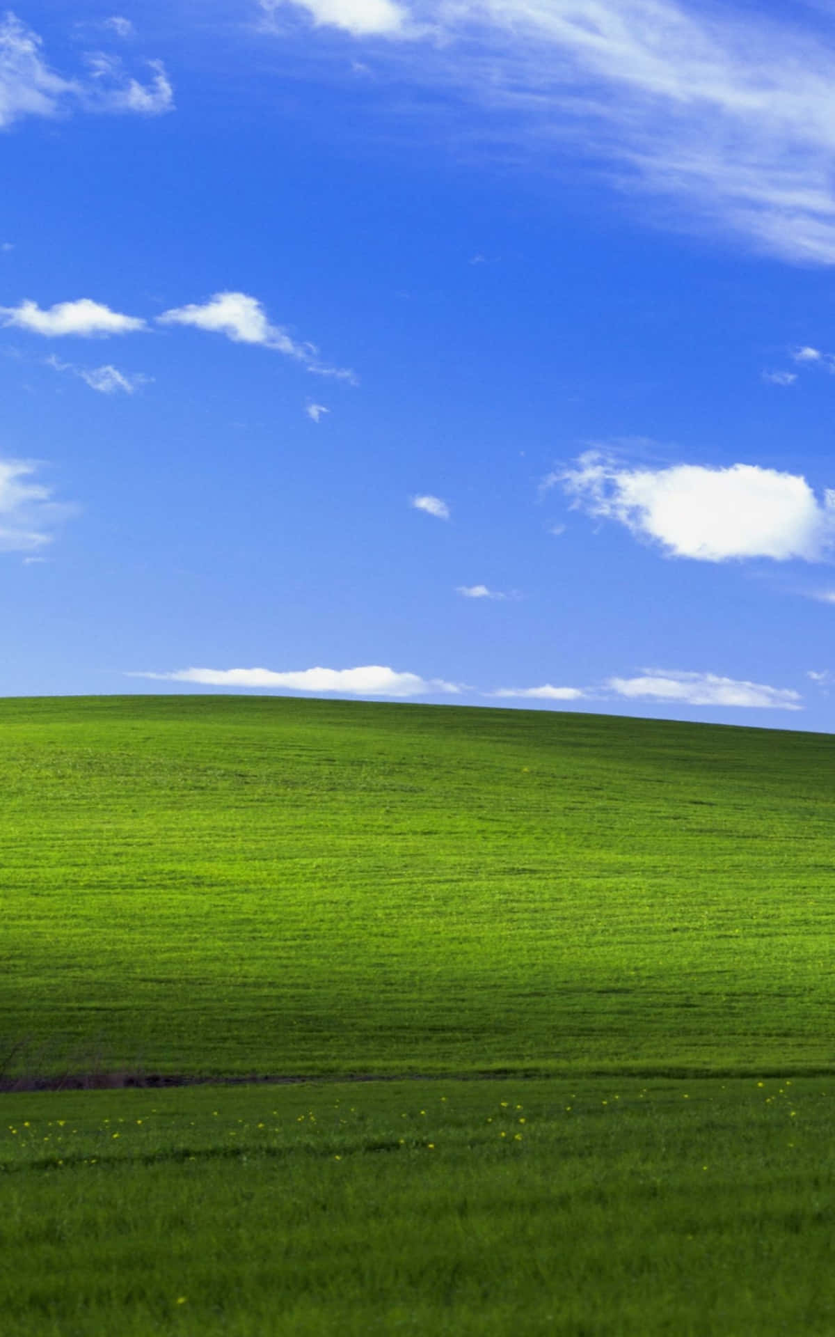 欣賞玻璃質感的 Windows 預設背景 壁紙 — 廣闊起伏的綠色田野，在明亮的藍天下，散佈著白雲。