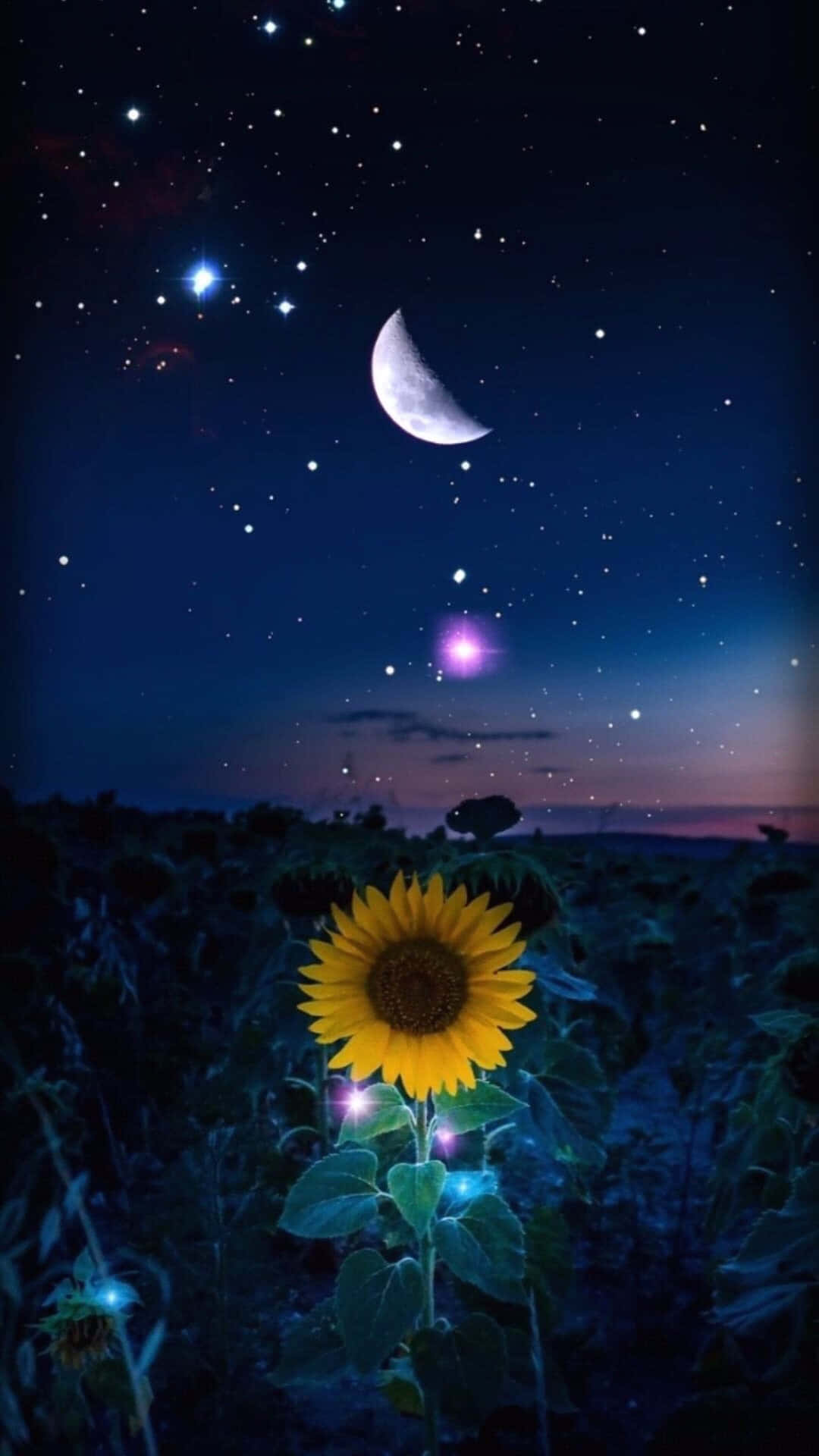 一朵發光的向日葵在星空和新月下的田野中。