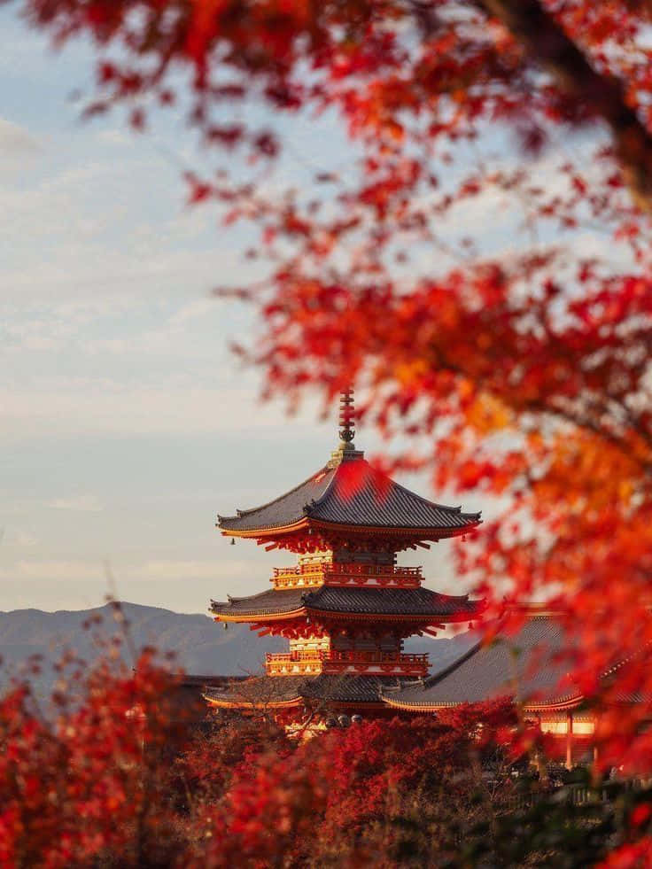 欣賞秋日的自然之美！ 壁紙 — 一座傳統日本寶塔，被鮮紅的秋葉環繞，映襯著柔和天空。
