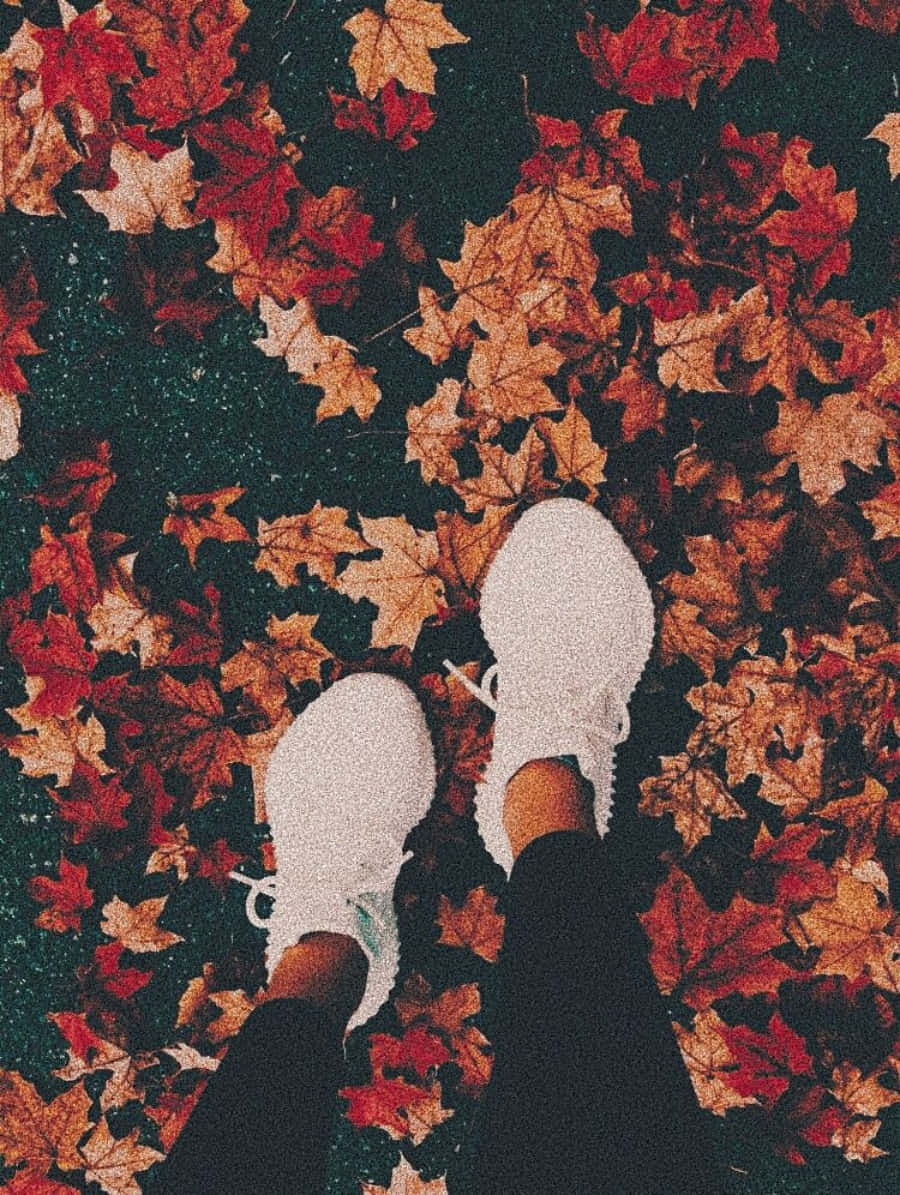 欣賞秋日的金色光輝 壁紙 — 白色運動鞋站在深色地面上鮮豔的紅色和橙色秋葉地毯中。
