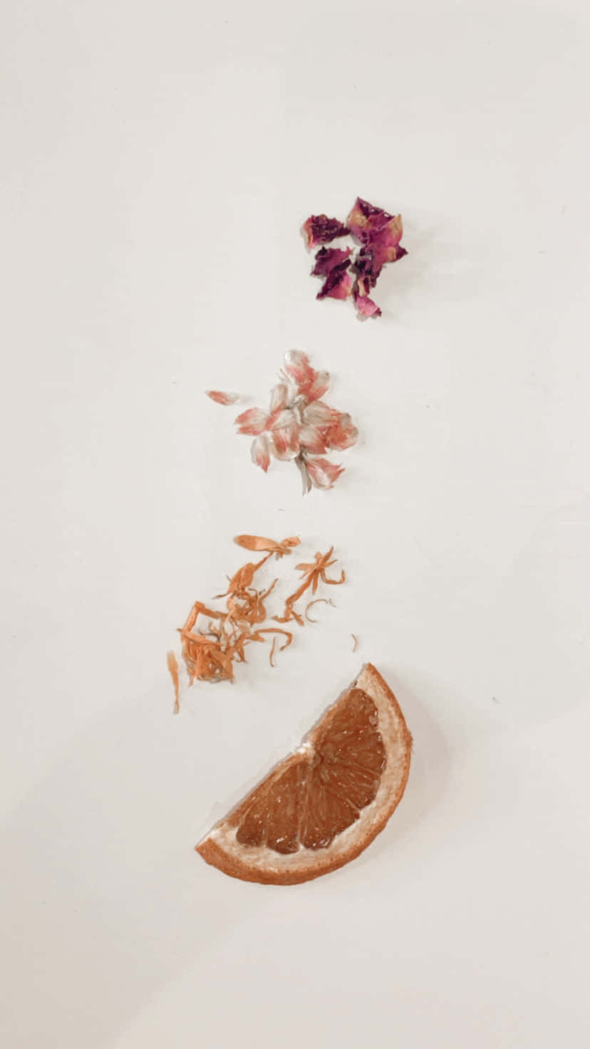 乾橙片和各種乾花在白色背景上垂直排列。