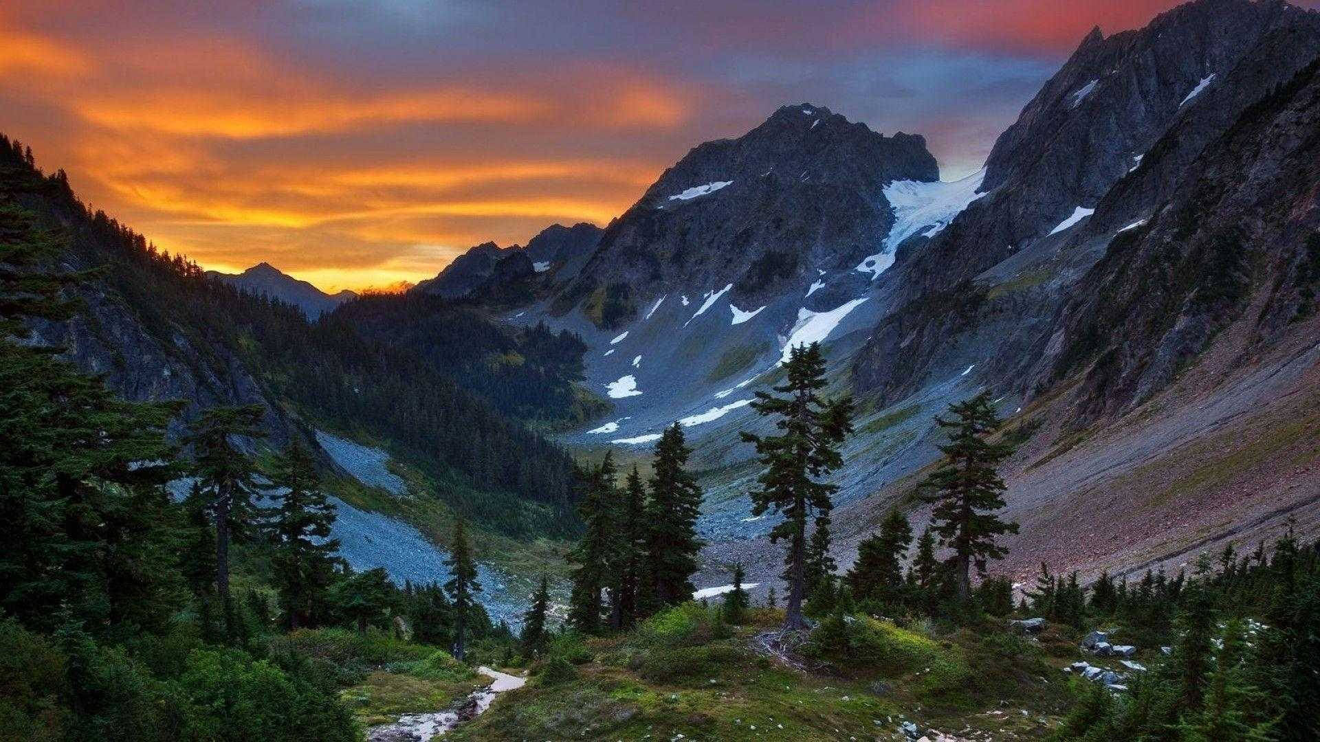 日落時分，白雪覆蓋的山峰和山谷中的常綠樹。