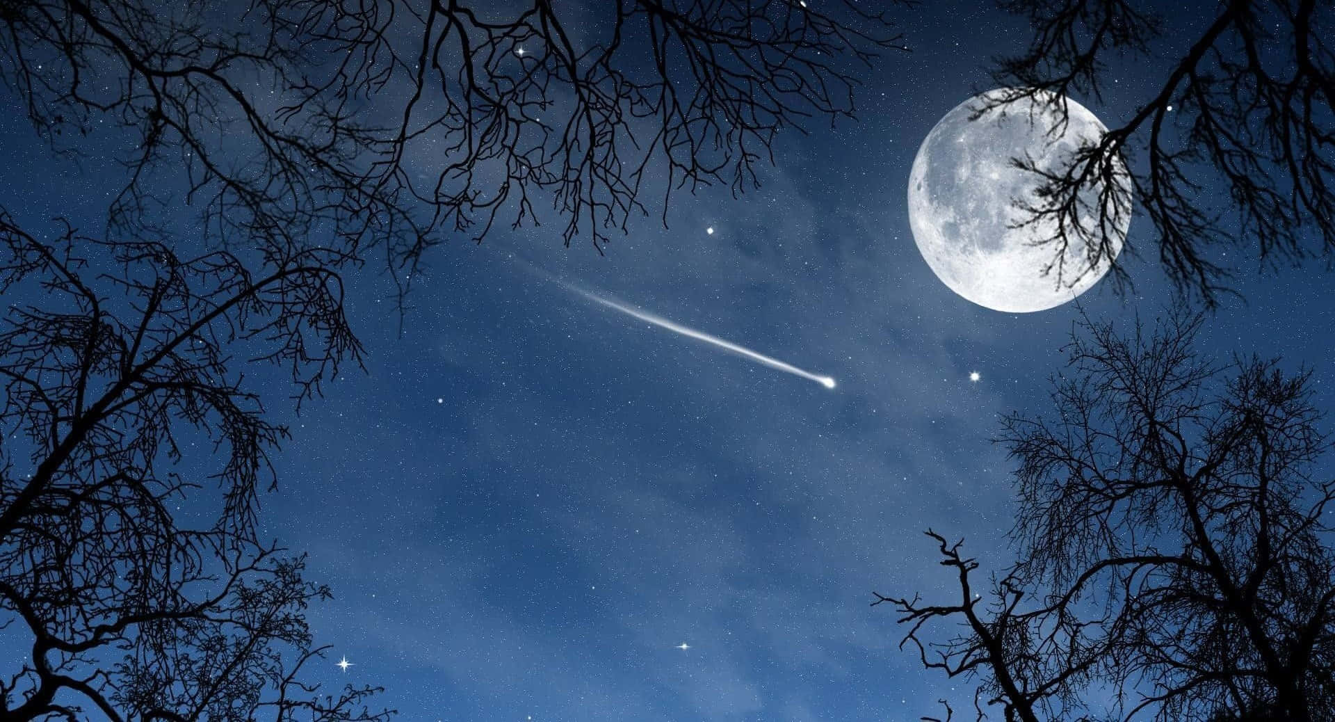 夜晚透過光禿的樹枝可見月亮和流星。