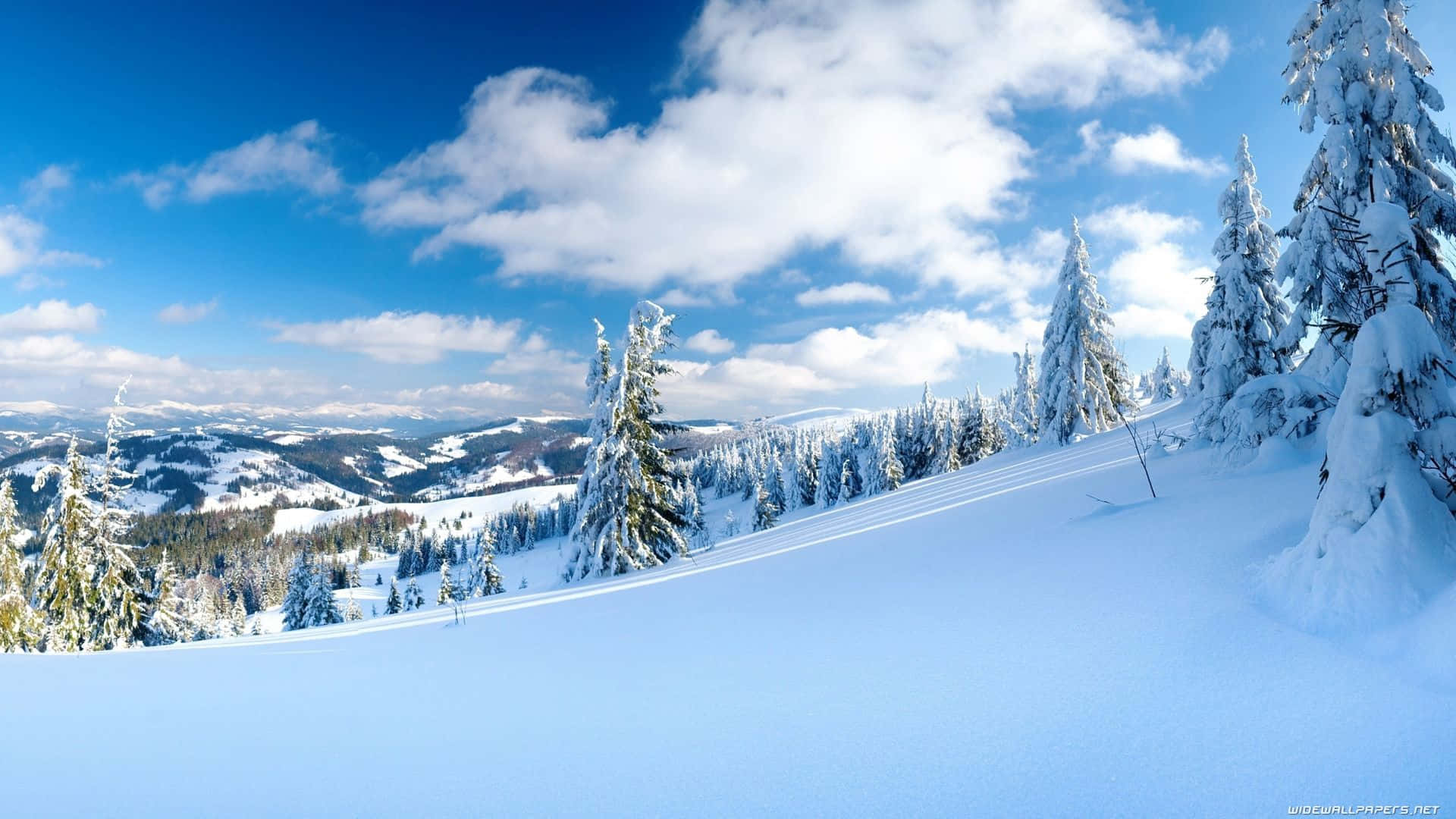 欣賞自然冬季風景的寧靜之美 壁紙 — 白雪覆蓋著常青樹，在明亮的藍天下有蓬鬆的白雲，構成寧靜的冬季山景。