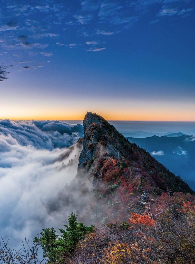 欣賞藍山國家公園的自然之美 壁紙 — 崎嶇的山峰在日出時刺穿雲海，秋葉在漸變的天空下閃耀著火紅和橙色。