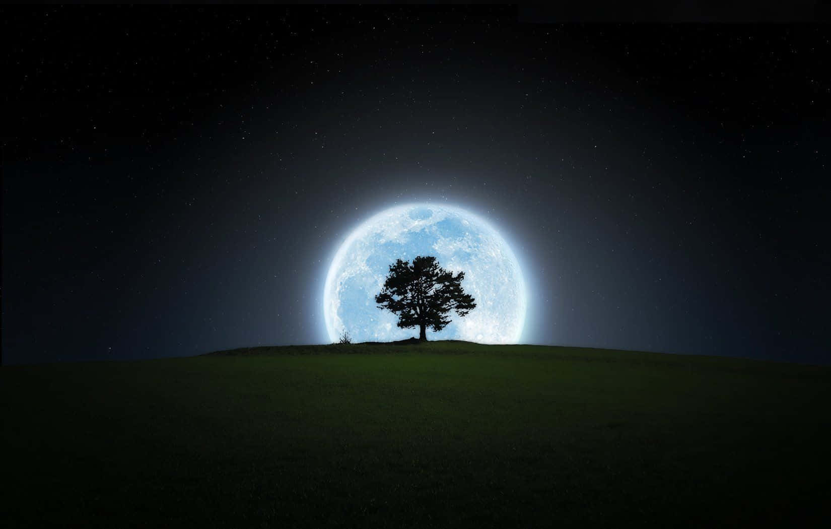 夜晚，一棵孤樹矗立在山丘上，下方是巨大發光的藍色月亮。