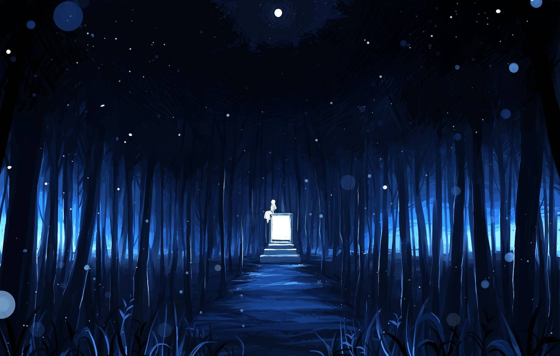 一個人在深藍色森林中，夜晚星光下站在一扇發光門前。