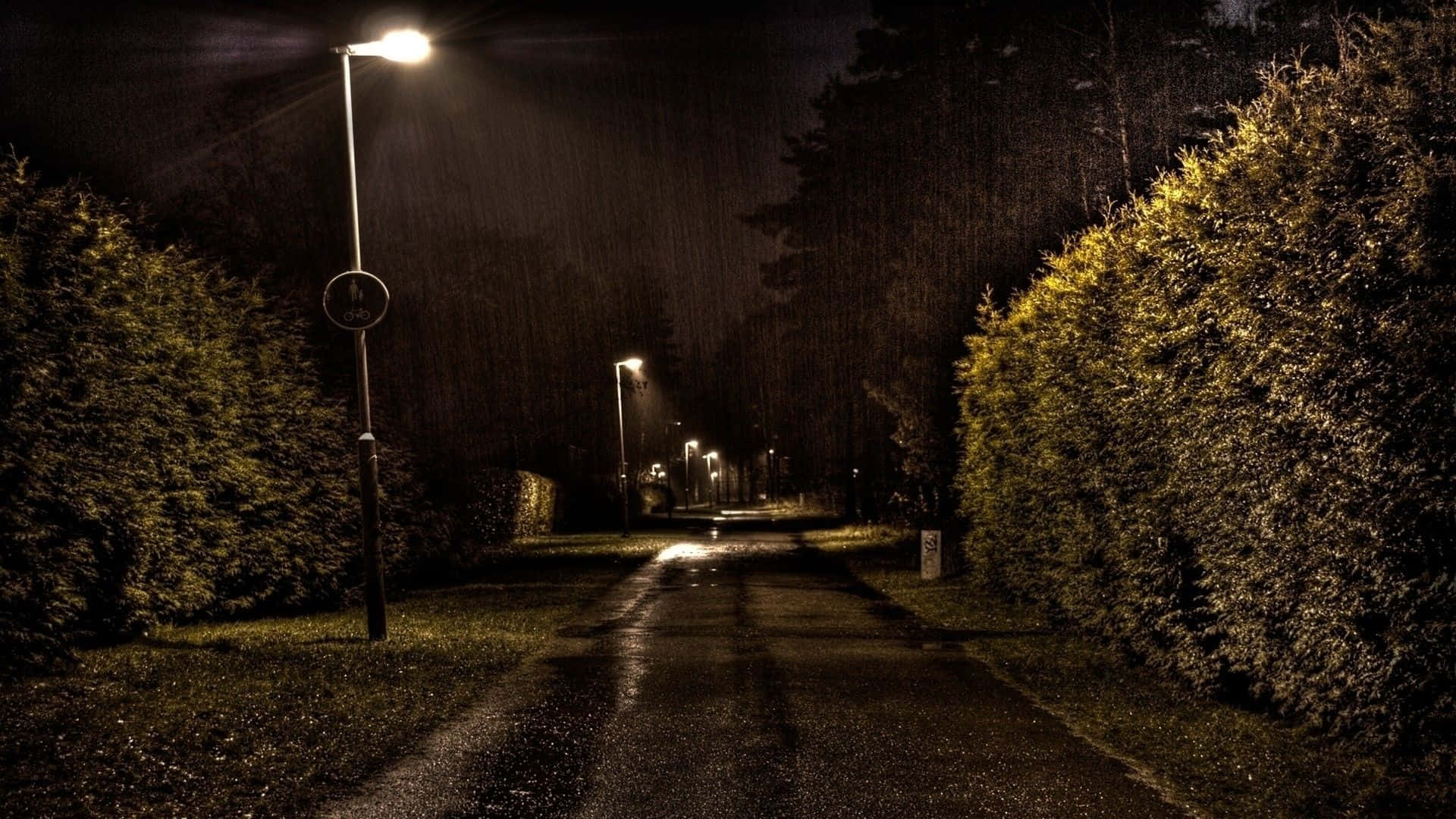 夜晚濕漉漉的街道，兩旁有樹籬的路燈照亮。
