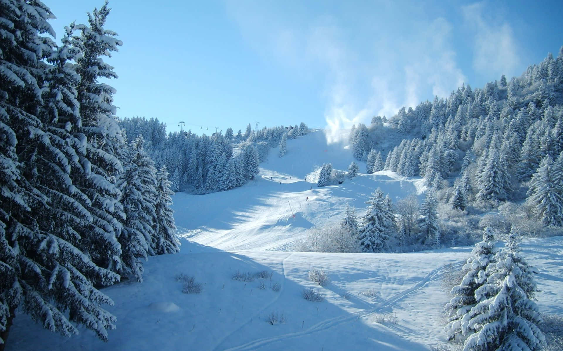 欣賞雪中奇境的風景 壁紙 — 白雪覆蓋的松樹框住了明亮的藍天，下方是陽光普照的滑雪坡道，有隱約的痕跡和遠處的纜車。