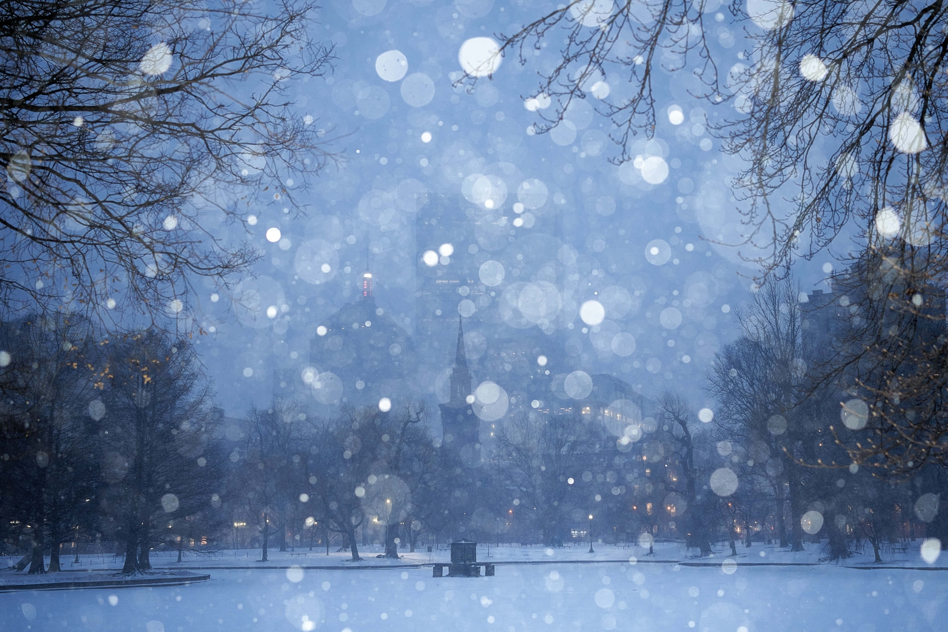 欣賞雪花飄落於寧靜冬日的美景 壁紙 — 雪花在冰冷的藍色暮色中飄過一個寧靜的雪覆蓋公園，有光禿禿的樹木和遠處的城市燈光。
