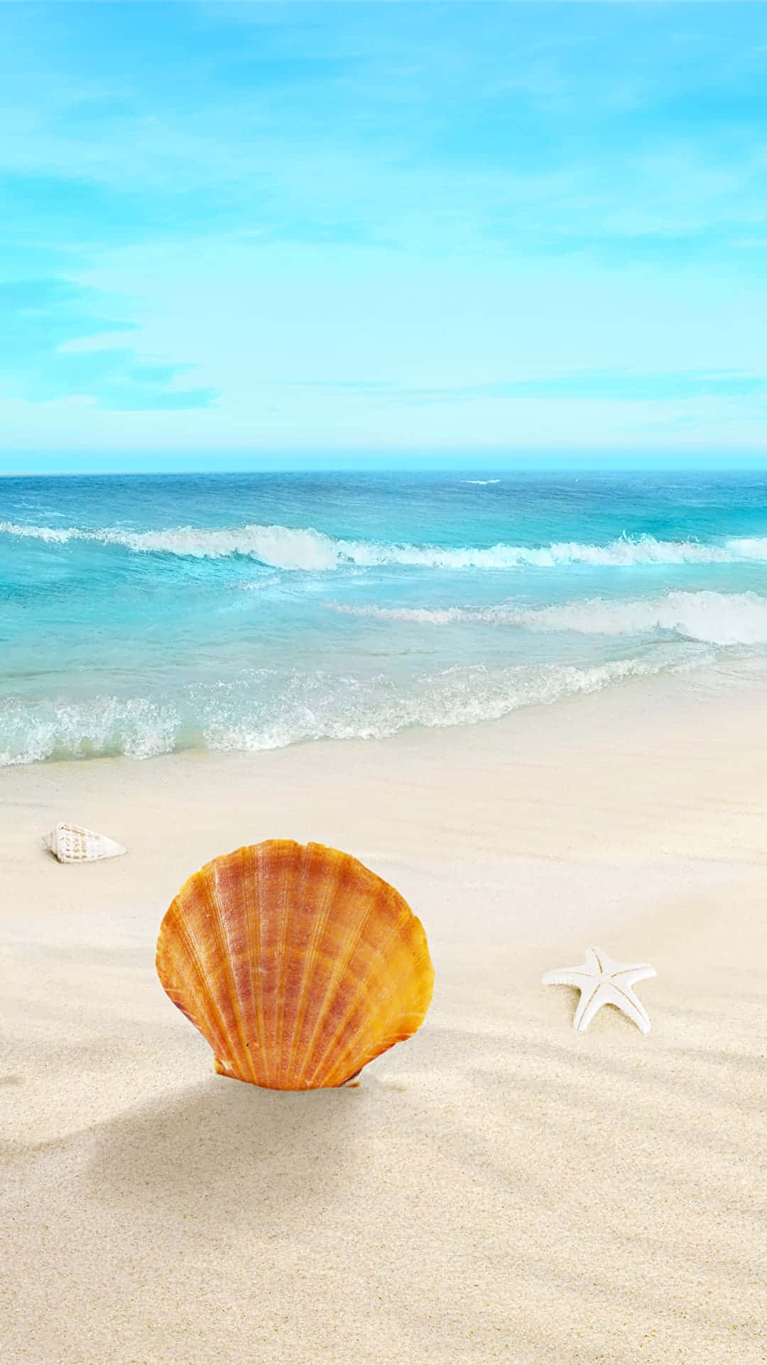 沙灘上的貝殼和海星，伴隨著海浪和藍天。