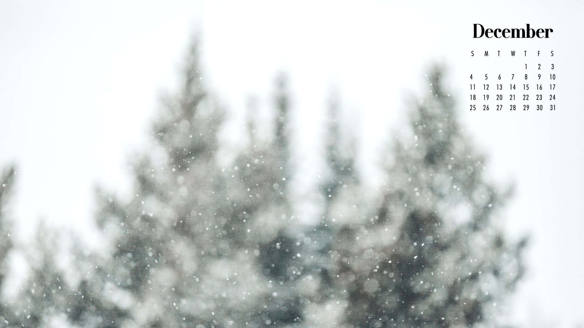 十二月日曆，雪花飄落在模糊的常綠樹上。