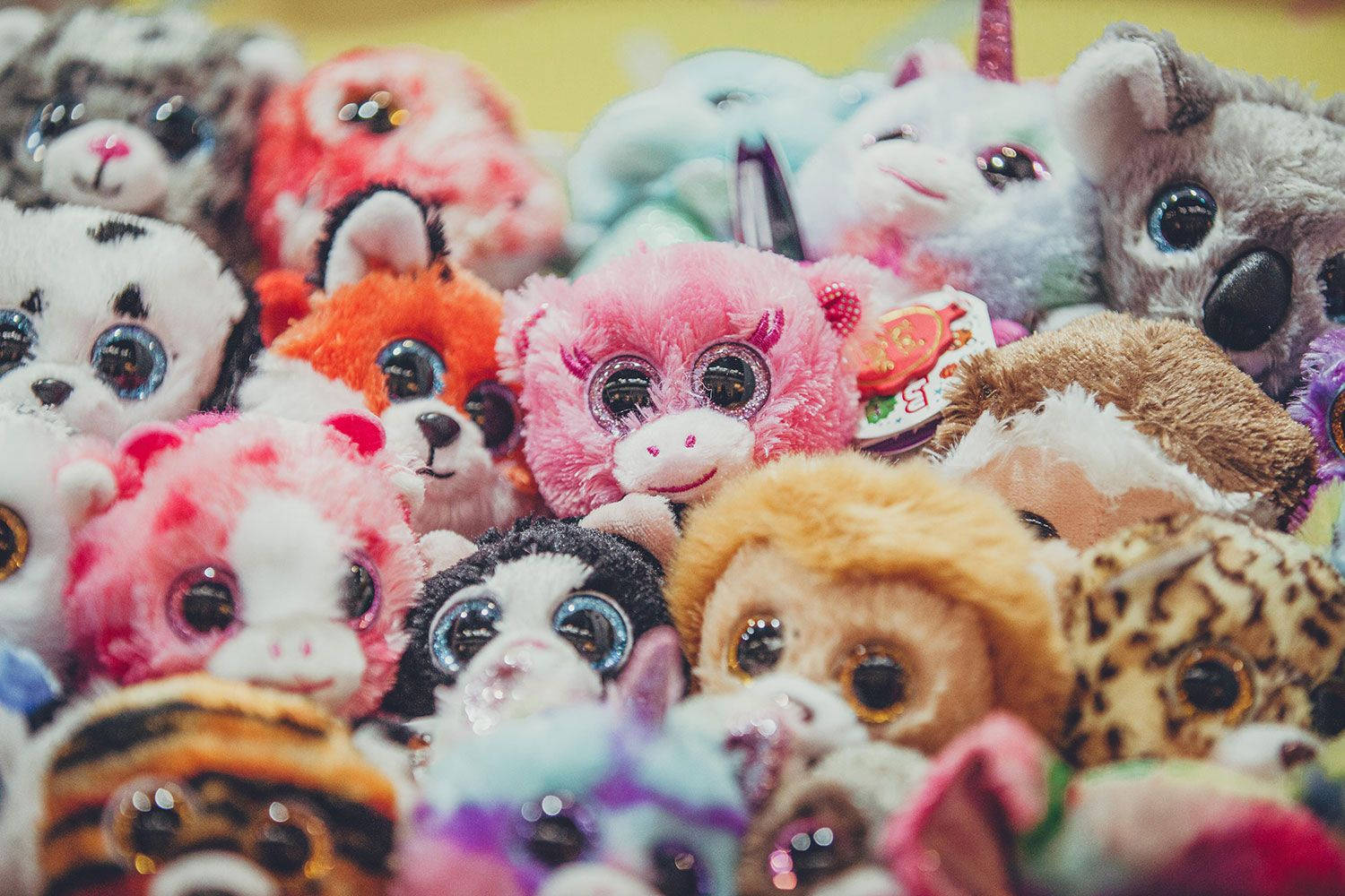 歡樂 Beanie Boos 玩具集 壁紙 — 各種毛絨玩具的特寫，擁有超大的閃亮眼睛和柔軟多彩的毛皮堆疊在一起。