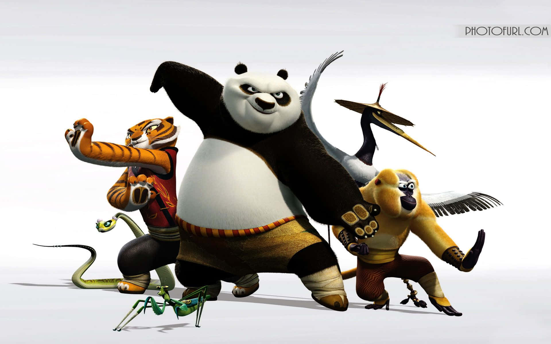 白色背景上擺出戰鬥姿勢的動畫武術動物。