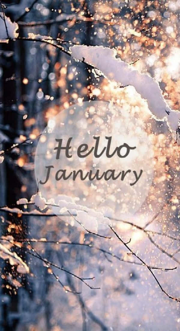被雪覆蓋的樹枝上帶有「Hello January」文字，在冬季溫暖地發光。