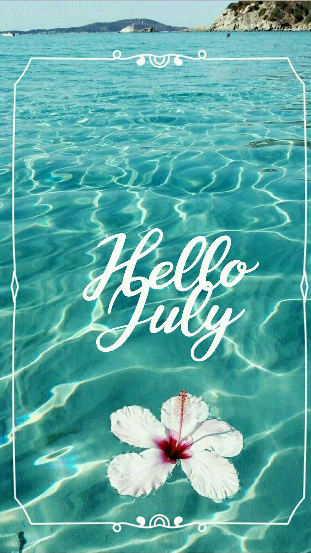 白色芙蓉花漂浮在碧綠的水面上，帶有「Hello July」文字。