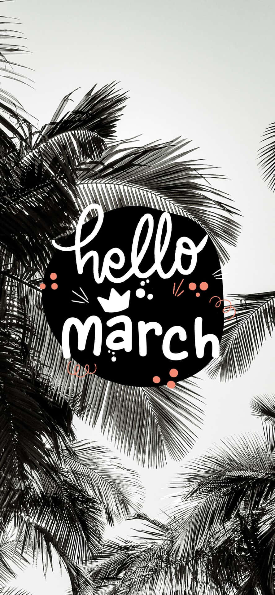 棕櫚葉框住一個黑色圓圈，上面有白色文字寫著 hello march 和粉紅色點。