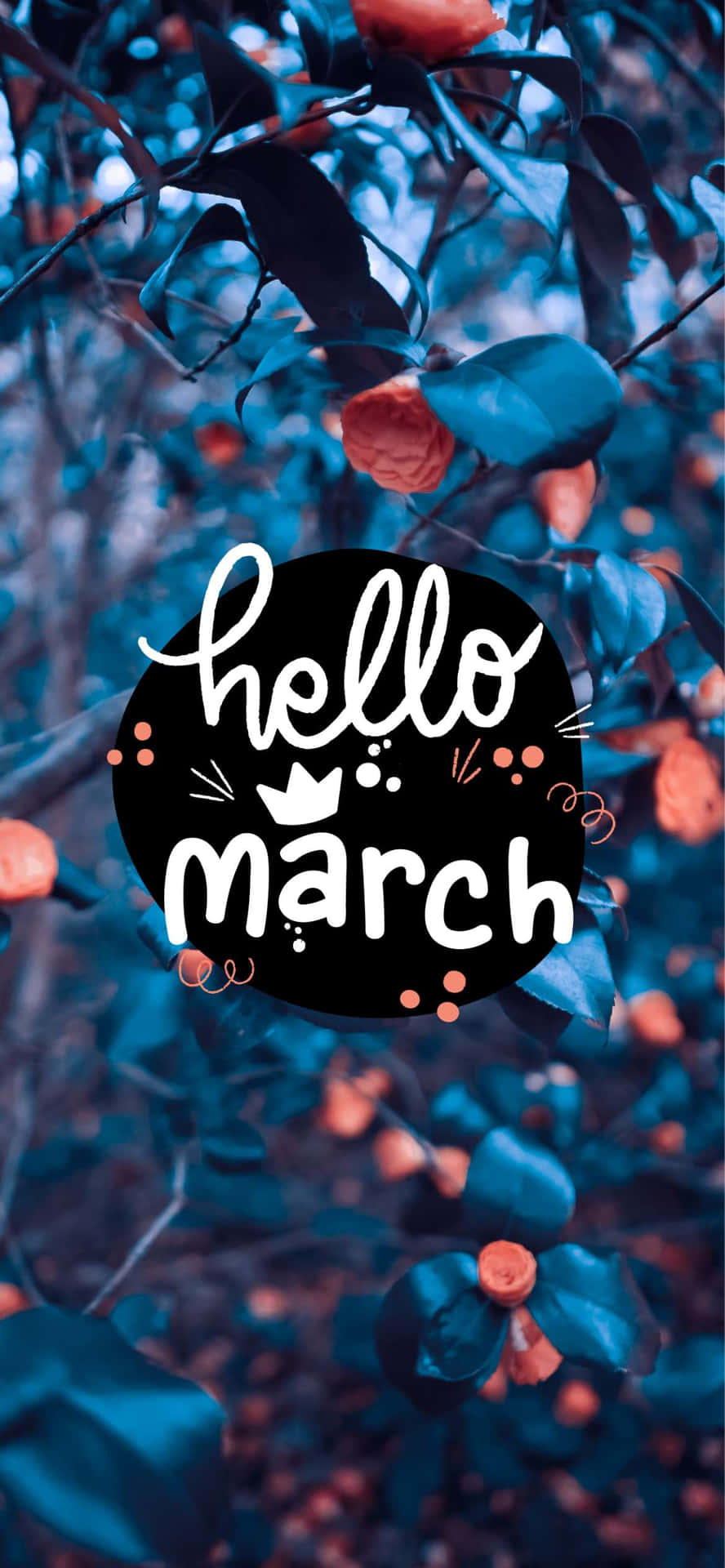 藍色調花卉背景，帶有橙色花朵和「hello march」圖形疊加。