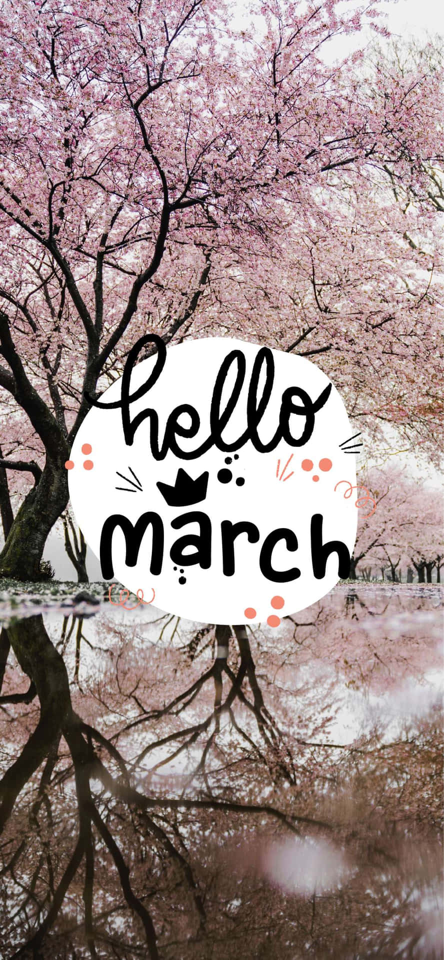 倒映在水中的櫻花樹，帶有 hello march 文字疊加。