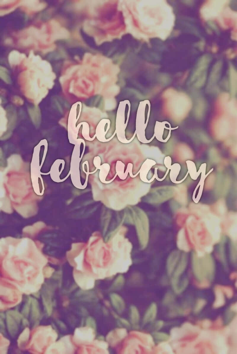 歡迎二月！ 壁紙 — 柔和的粉紅玫瑰與綠葉為草書文字 hello february 營造夢幻花卉背景。