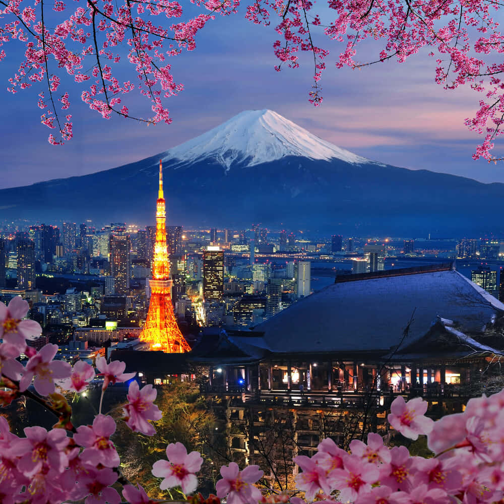 粉紅櫻花框住黃昏的東京鐵塔和富士山。