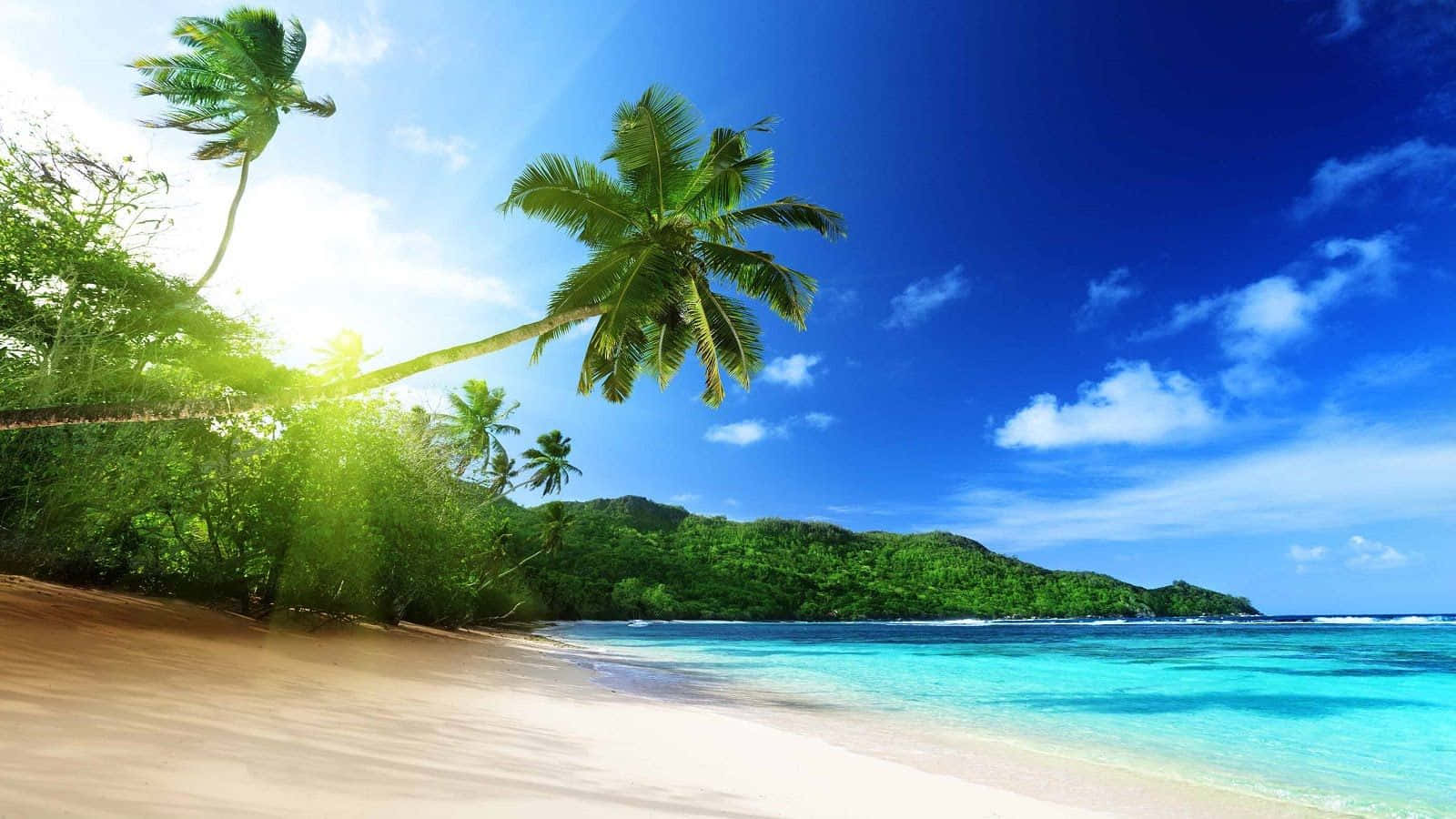 歡迎來到這幅島嶼度假的美麗寧靜景觀。 壁紙 — 陽光穿過搖曳的棕櫚樹，灑在純淨的白色沙灘上，伴隨著碧綠的海水和茂密的綠色山丘，天空明亮湛藍。