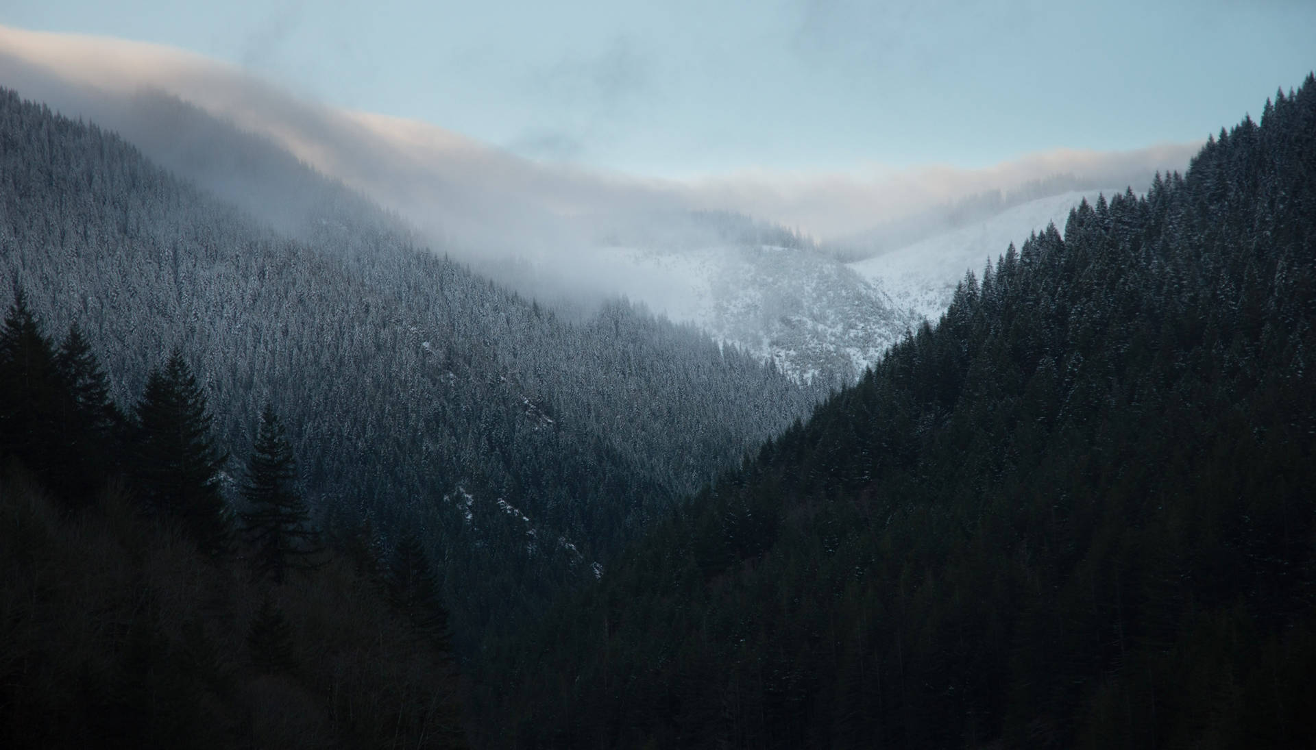 白雪覆蓋的山脈和森林，黎明時分有薄霧