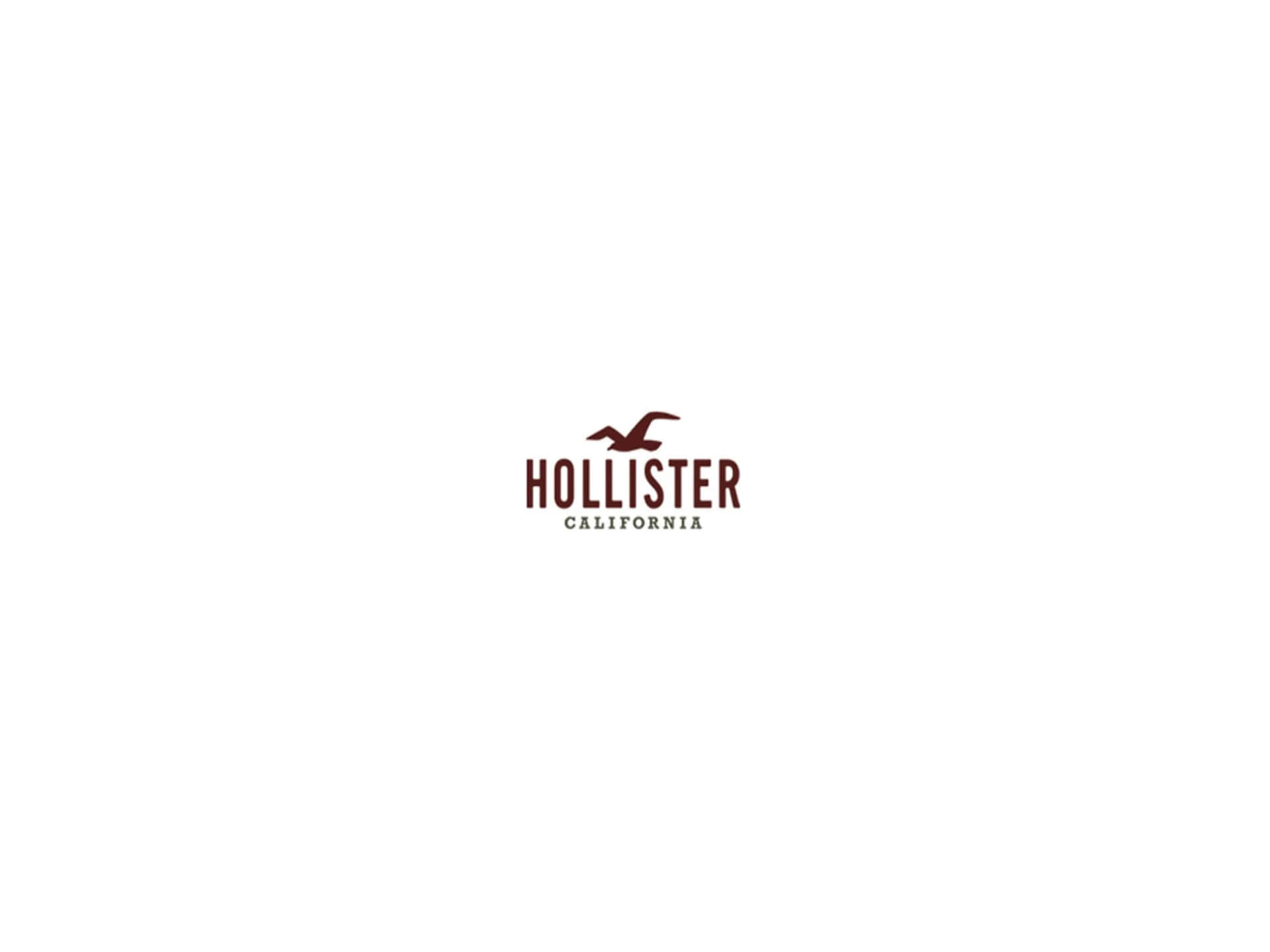 Hollister California標誌，棕色海鷗剪影在白色背景上