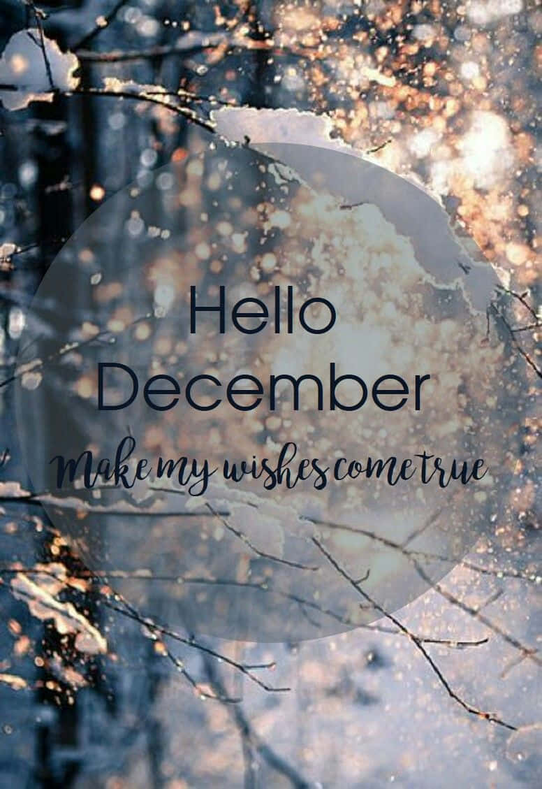 被雪覆蓋的樹枝，帶有溫暖的散景燈光和「Hello December」文字疊加。