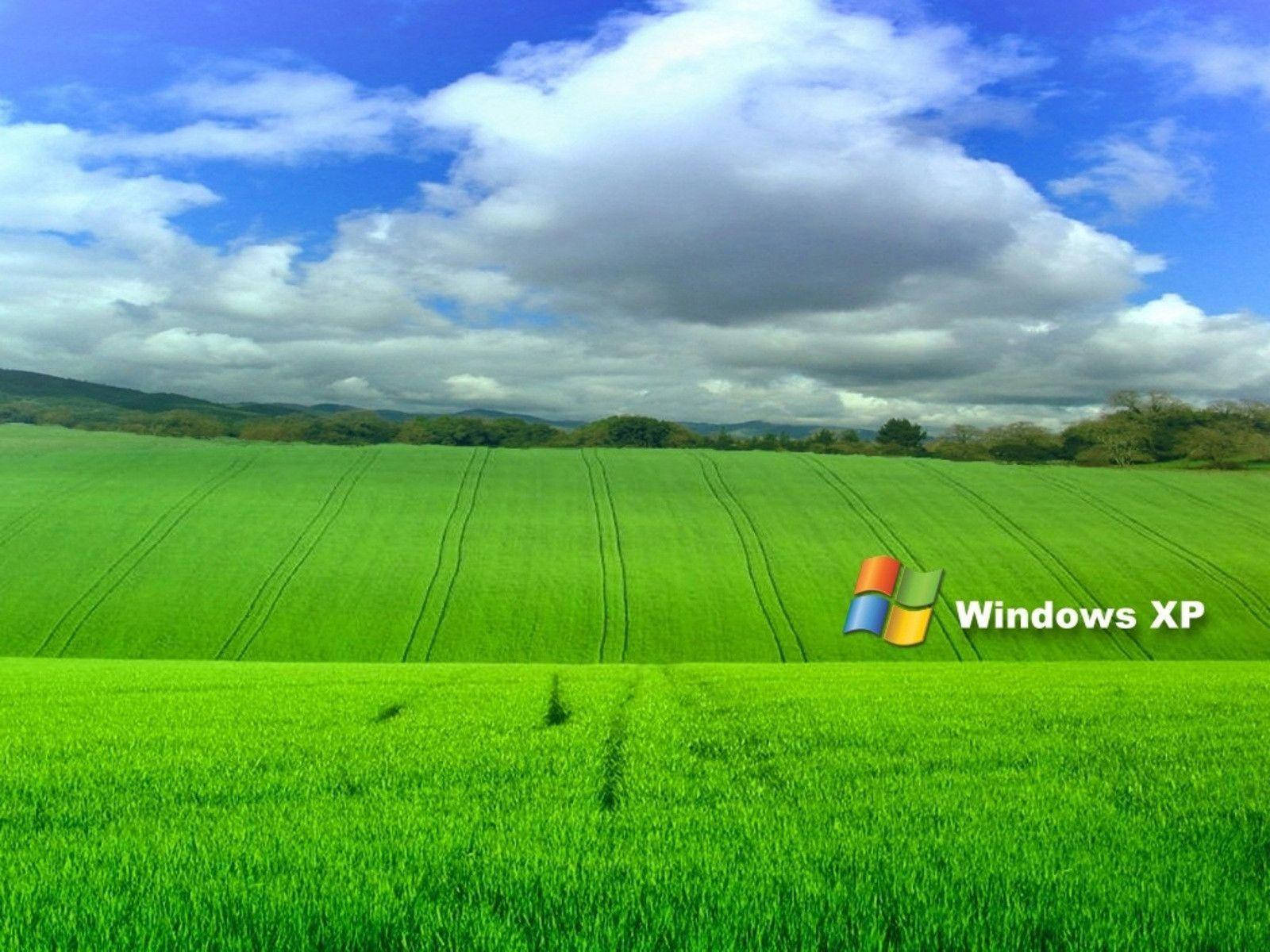 藍天白雲下的綠色田野和Windows XP標誌