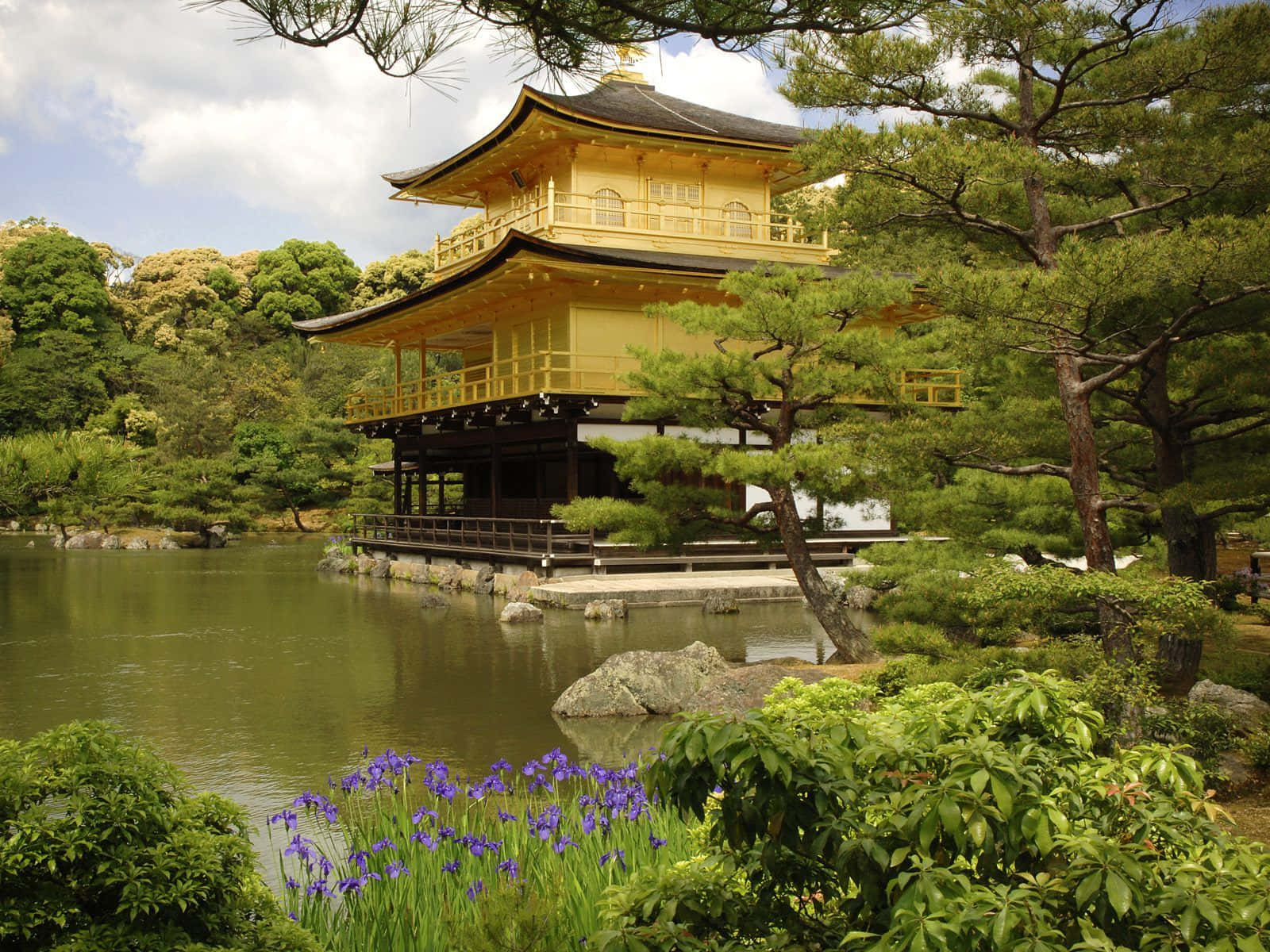 歡迎探索日本迷人風景 壁紙 — 金閣寺在晴朗的天空下，倒映在平靜的池塘中，周圍環繞著茂密的綠樹和紫色的鳶尾花。